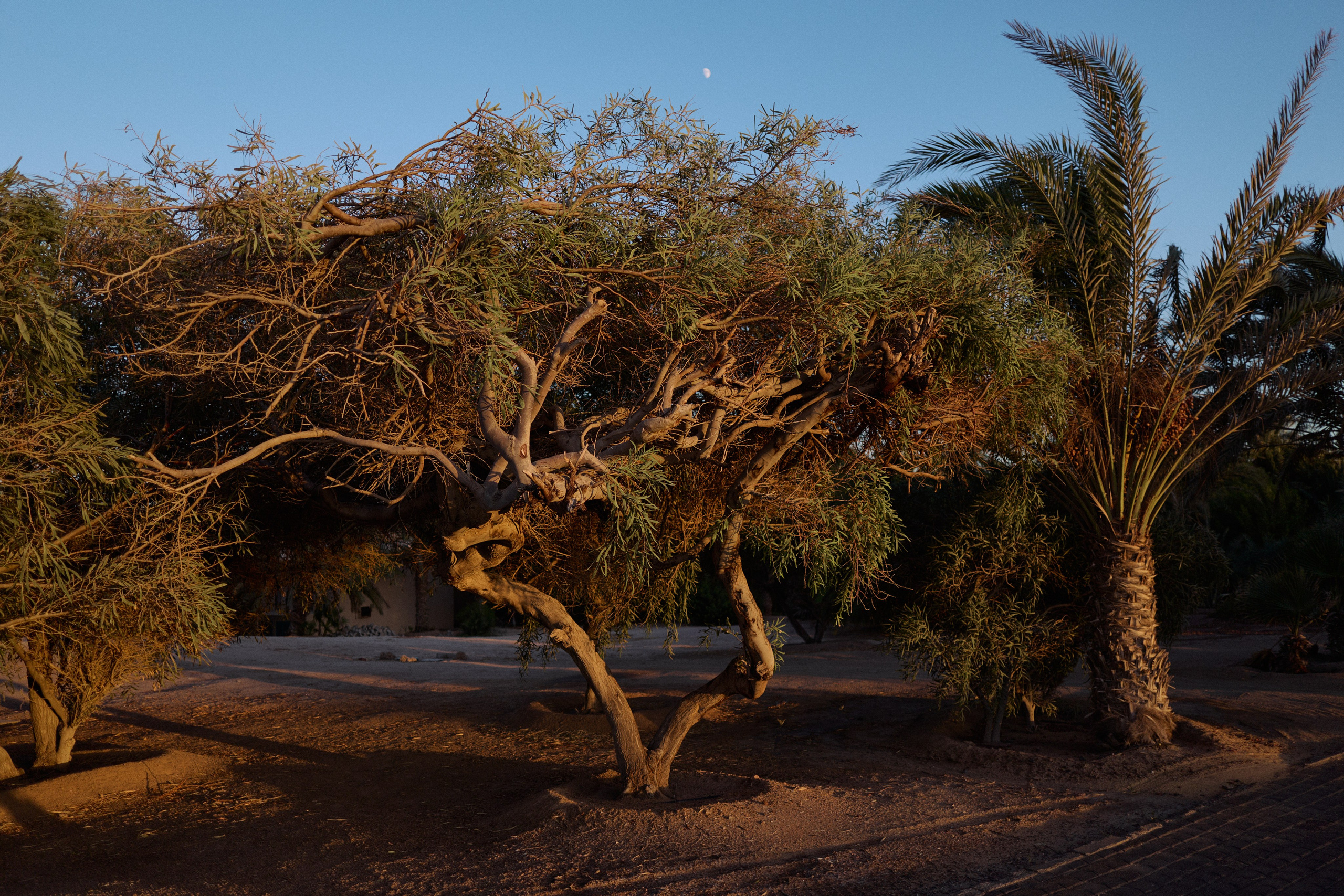 Другое 3. Jorgis Talè — photographer, kind person, teacher of arts and other mag