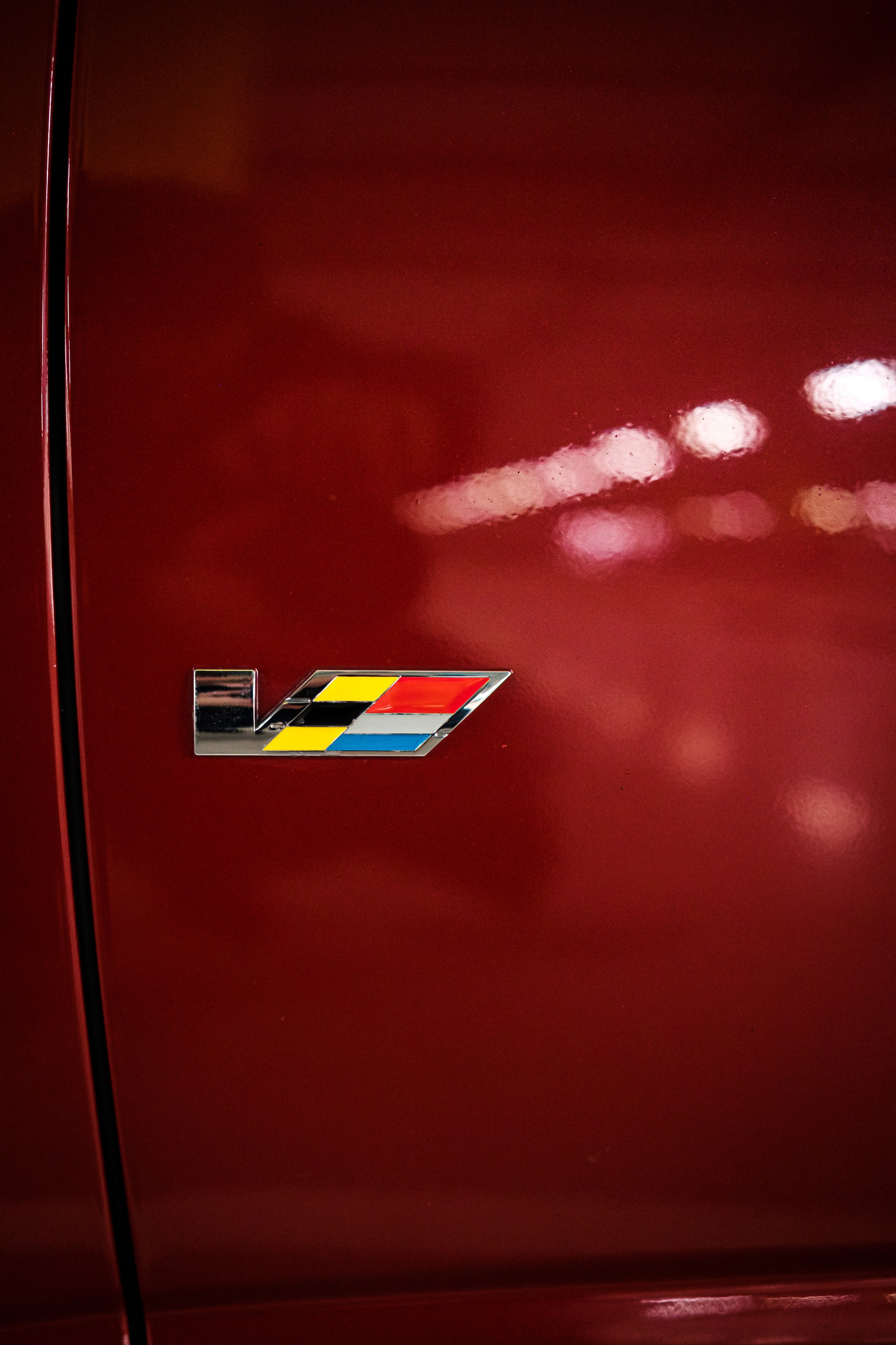 Кэдди. Алексей Никифоров фотограф Москва, Химки