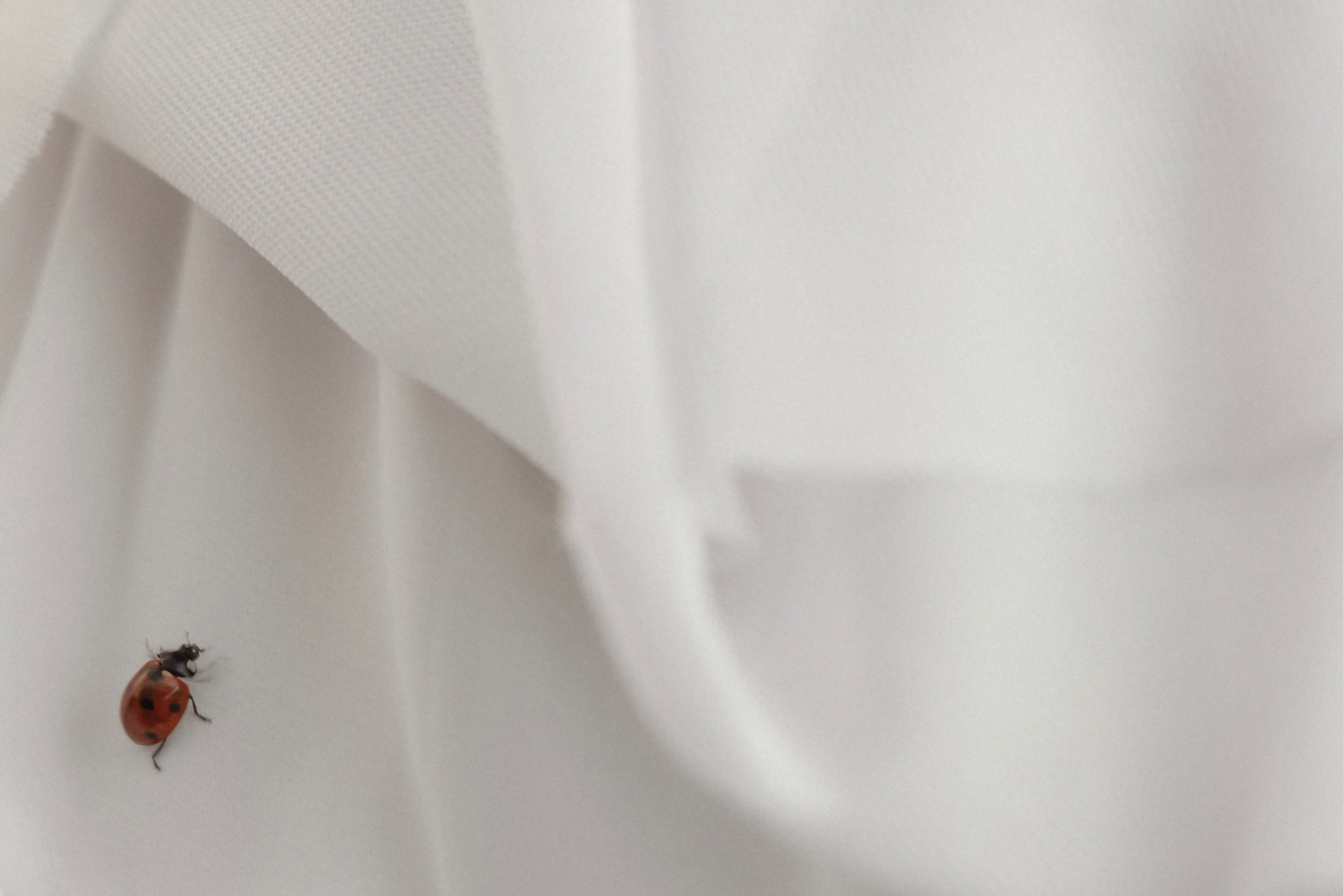 Алина♡Илья. Фотограф в Санкт-Петербурге Екатерина Колесникова