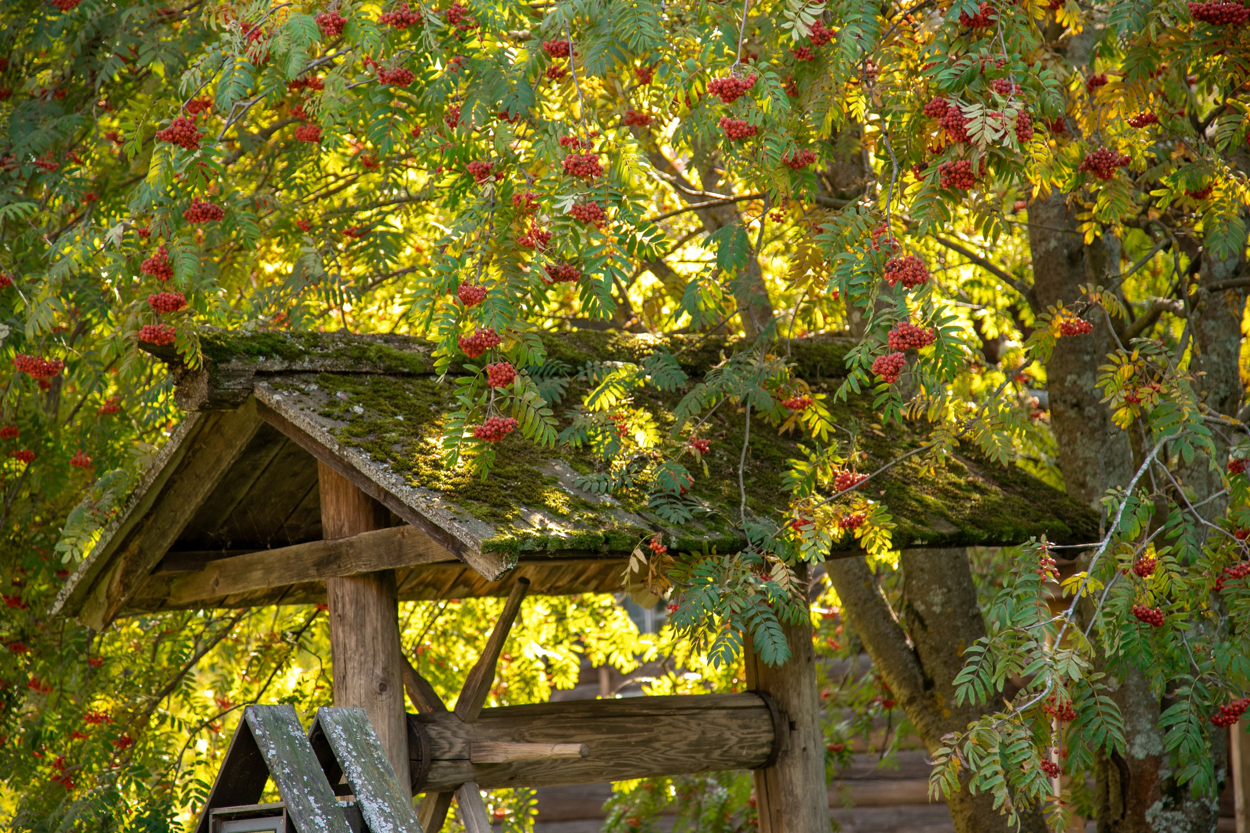Кострома 06.09.2025. Репортажный фотограф в Москве Агафонова Мария