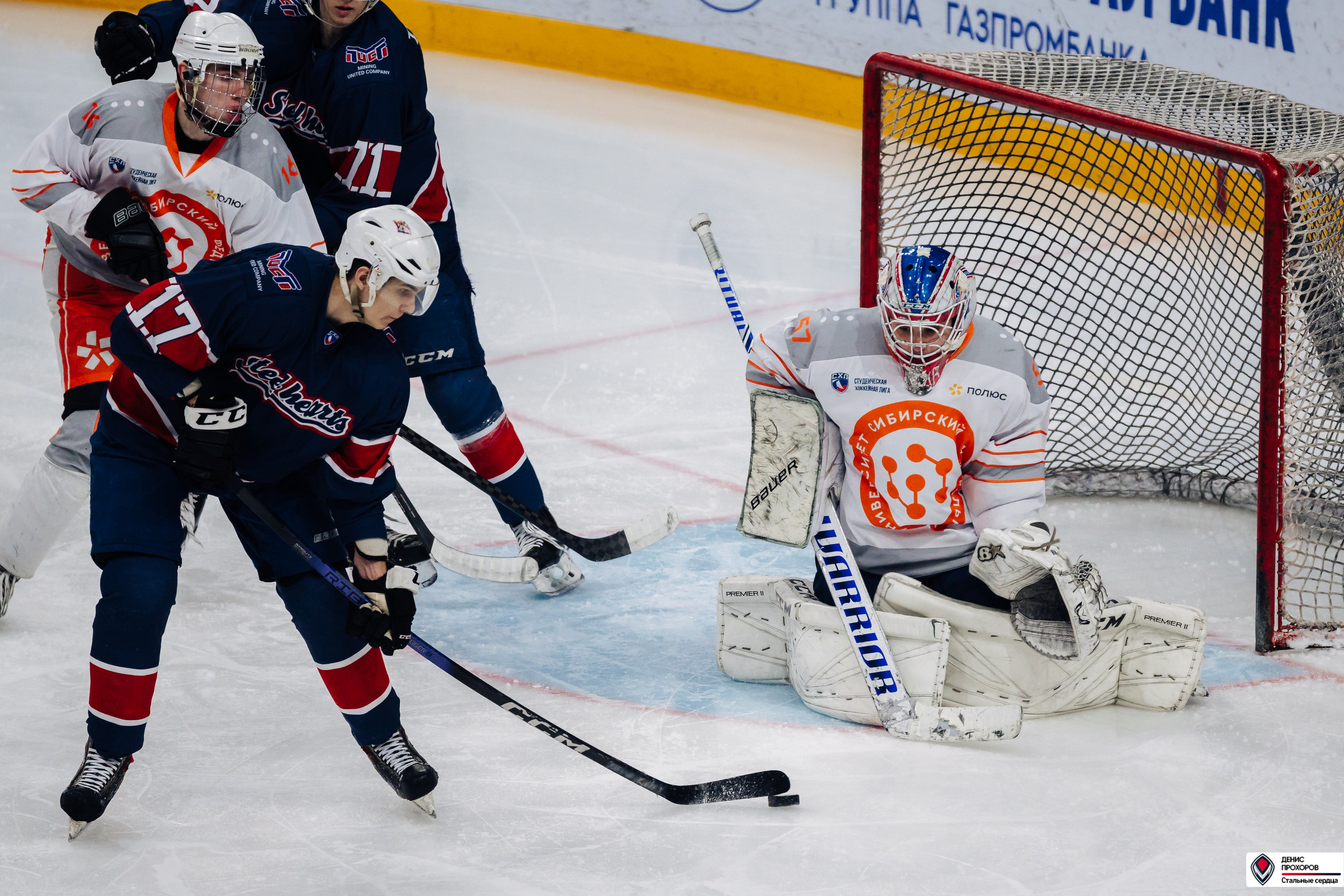 «Стальные сердца» — «СФУ» // 07-08.02.25. Денис Прохоров Фотограф в г. Магнитогорск