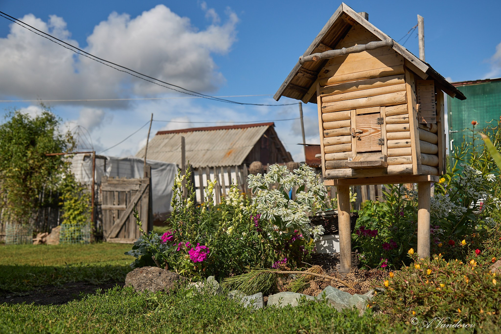Село Савкино Баганского района Новосибирской области. Фотограф Омск | Александр Вандеров