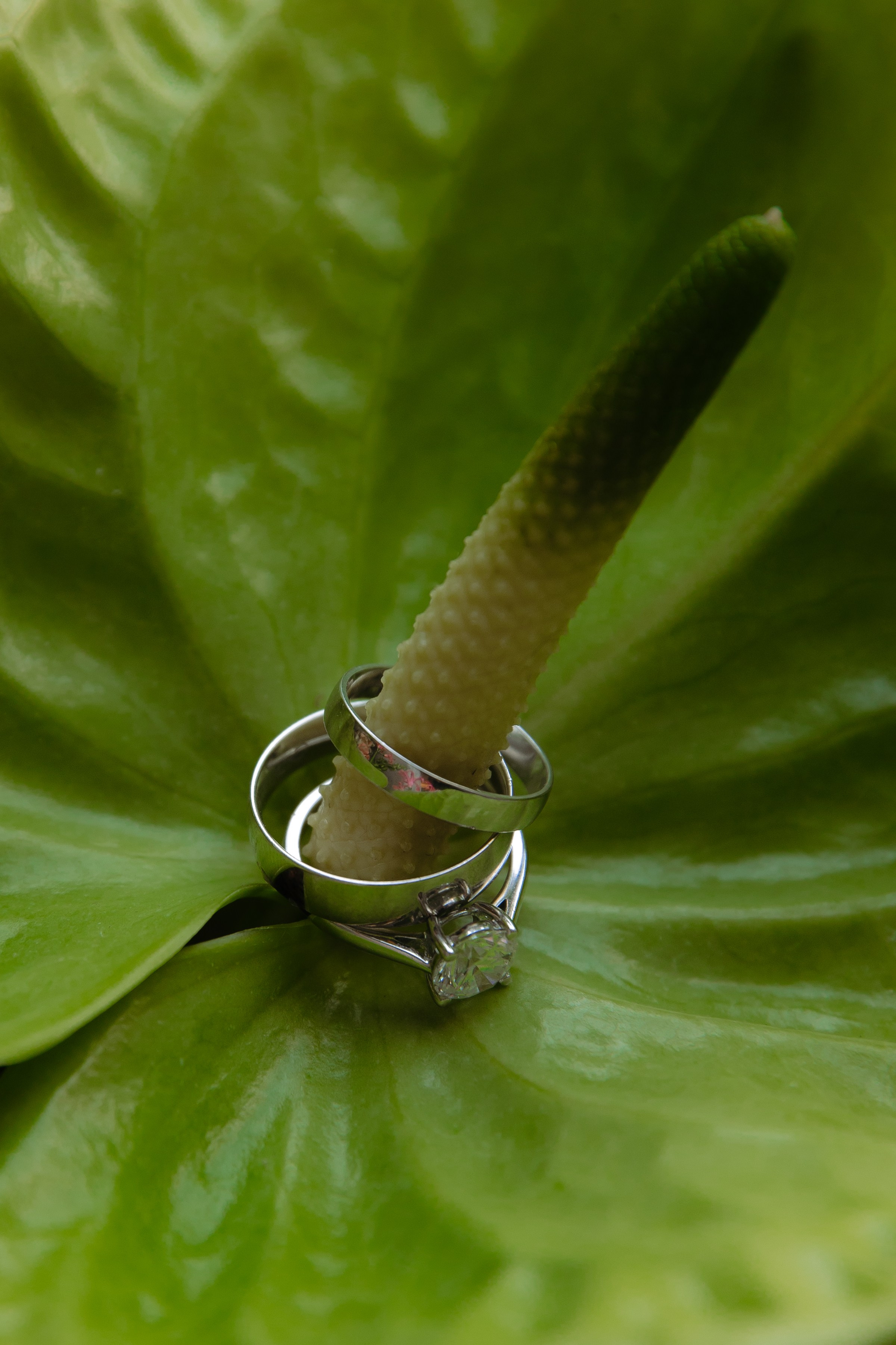 Даниил и Елизавета. Свадебный и портретный фотограф в Москве и Санкт-Петербурге