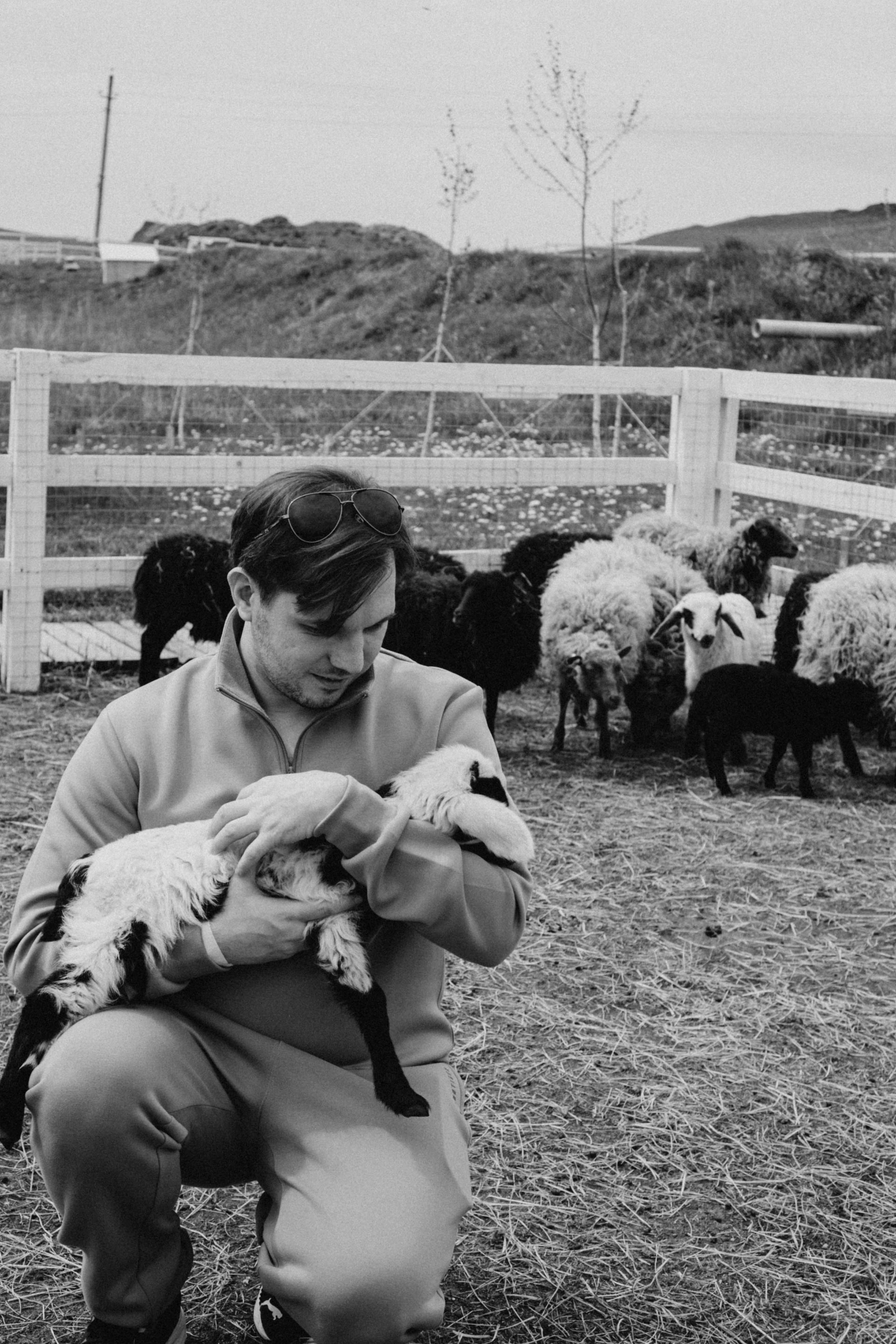 Ферма Альпак. Профессиональный фотограф, Санкт-Петербург — Виктория Богомолова