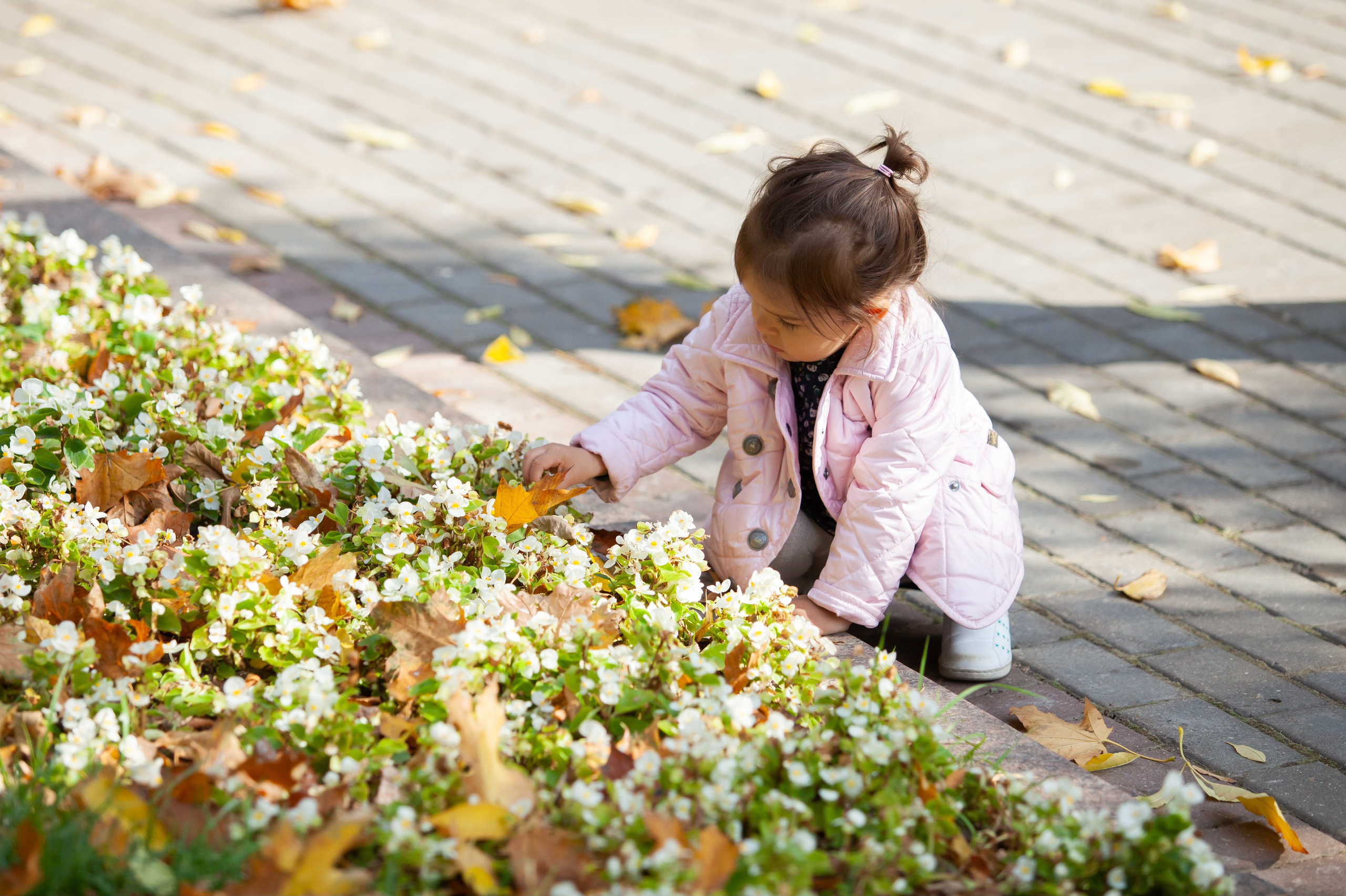 Семейная фотосъемка в саду Баумана. Фотографы в Москве Светлана Устинова и Сергей Грачев
