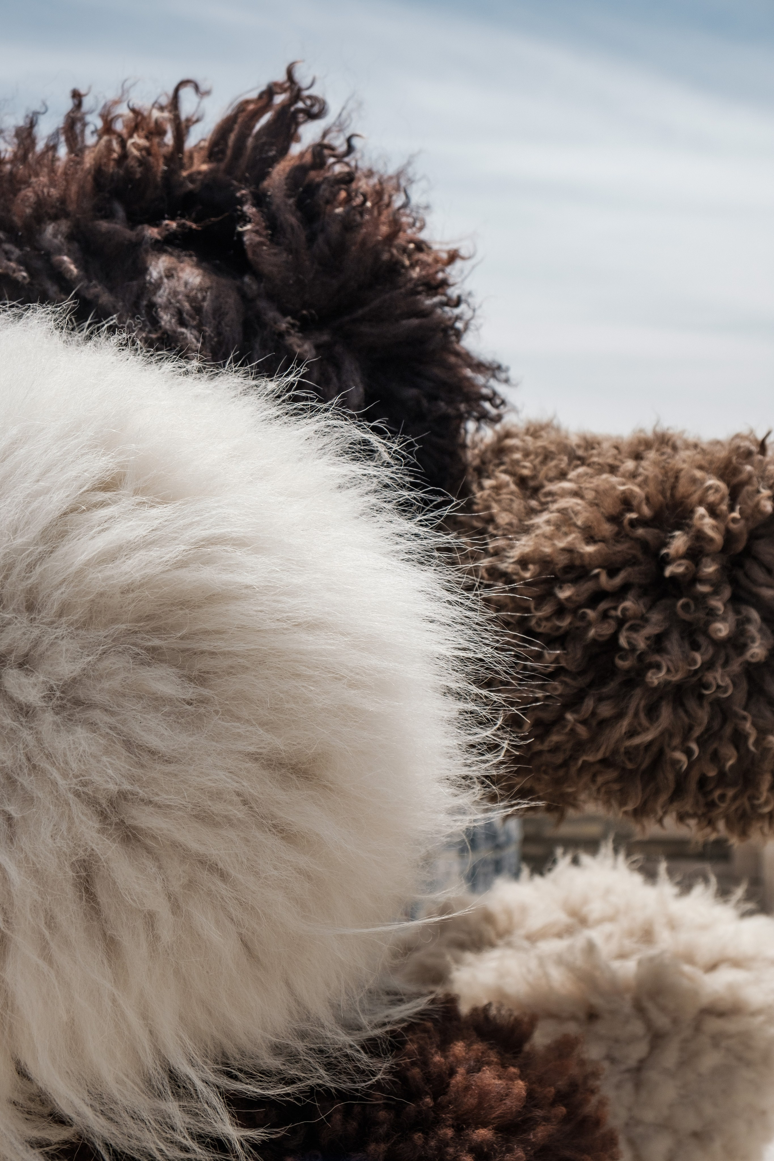 Узбекистан. Города. Фотограф Конопихин Константин