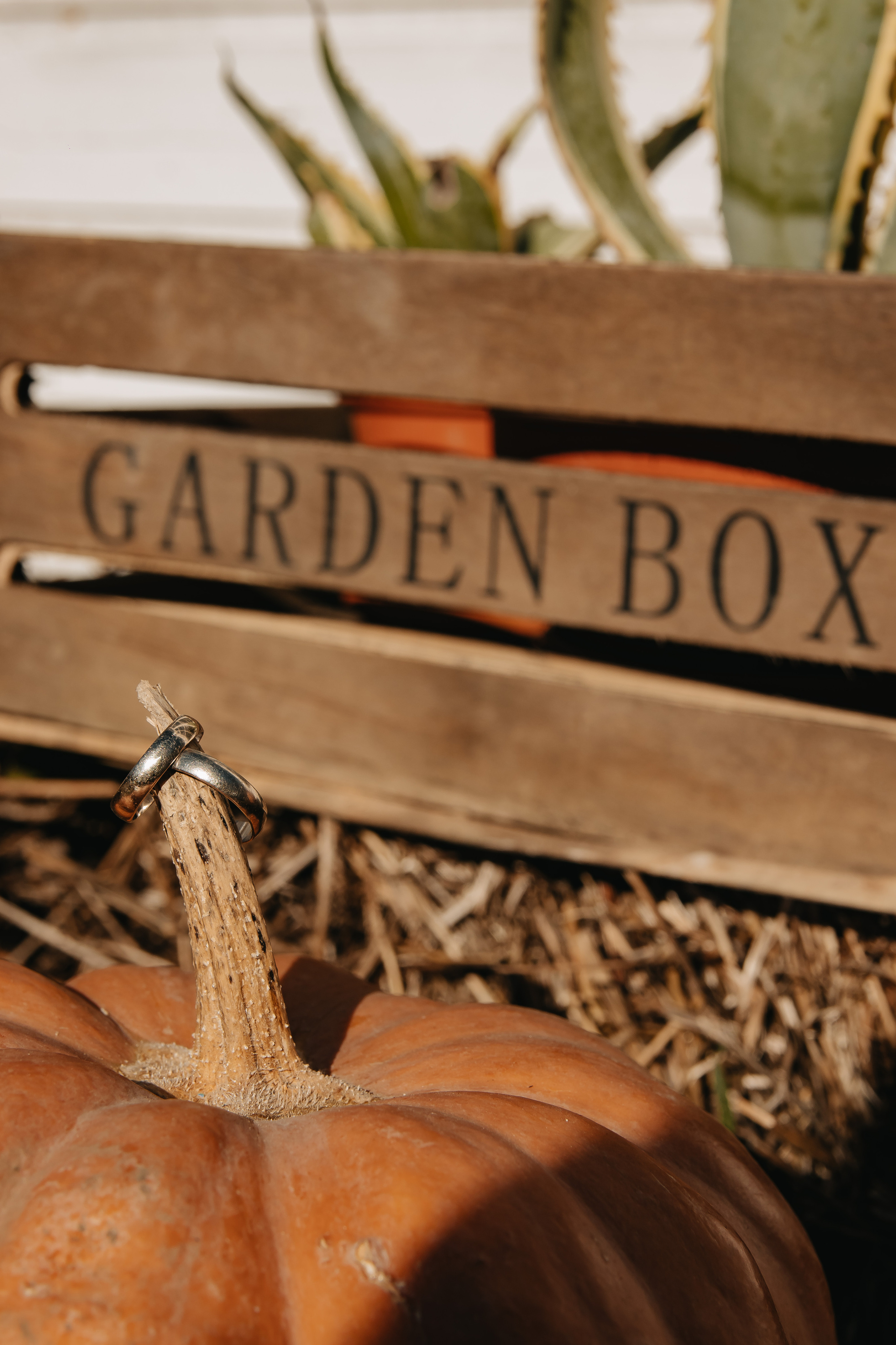 Свадебное фото. Фотограф Аделина Raw