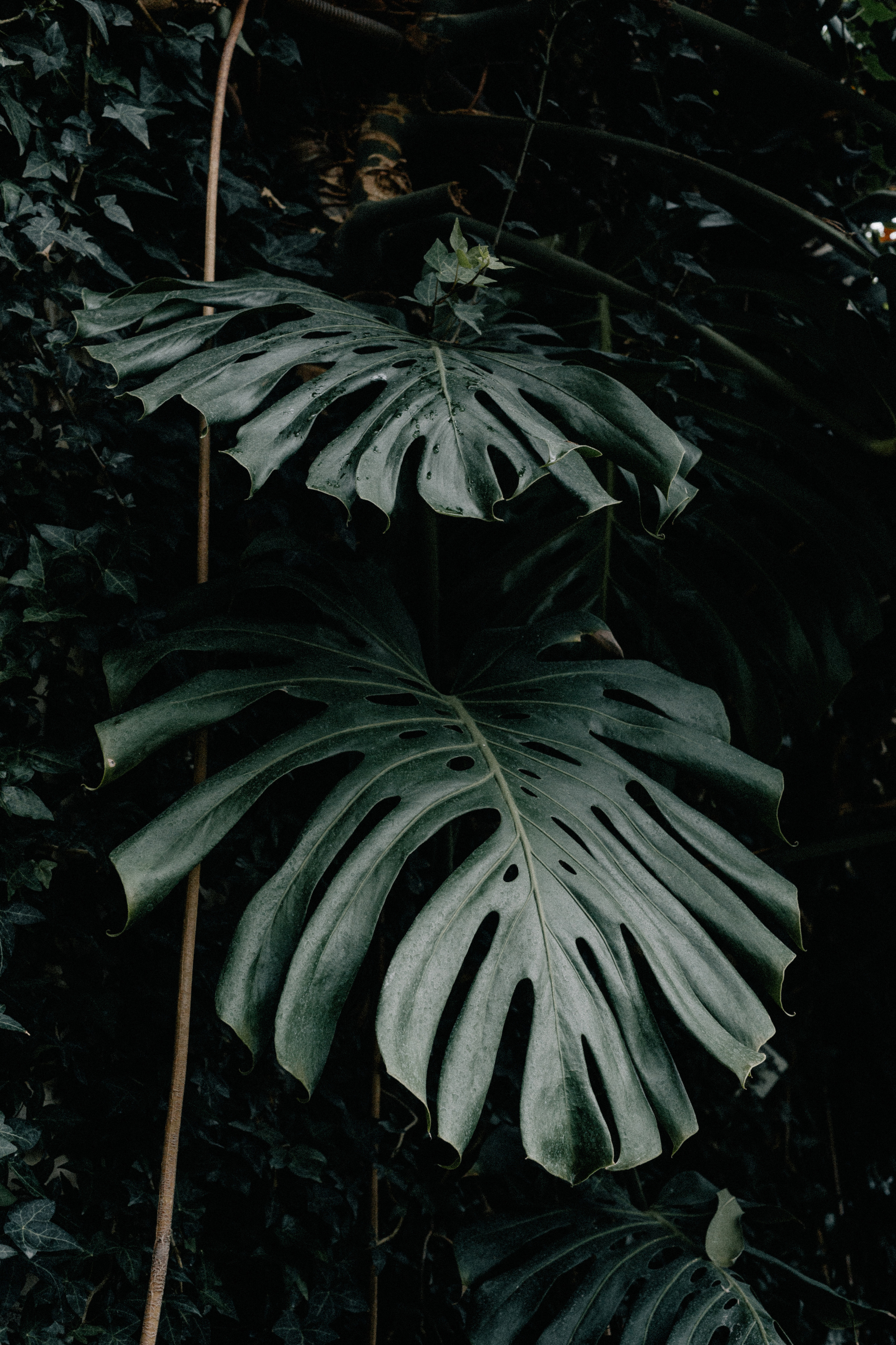 Аня. Свадебный и семейный фотограф в Волгограде Наталья Наумова