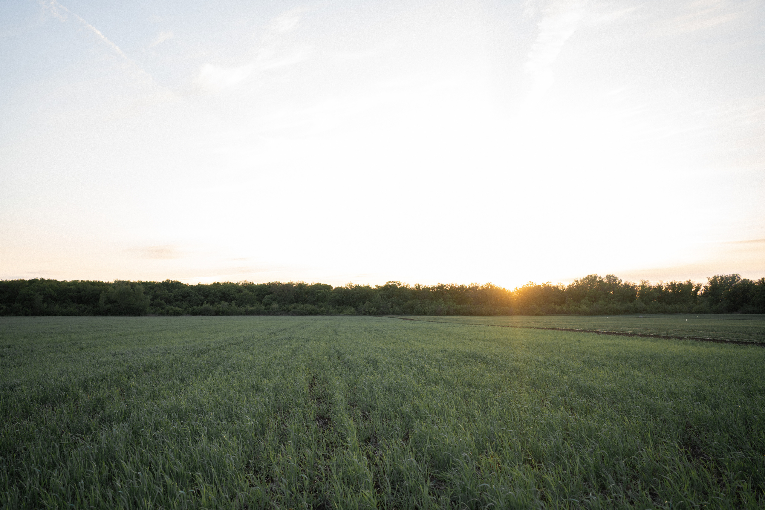 Настя, Ульяна. Свадебный и семейный фотограф в Волгограде Наталья Наумова