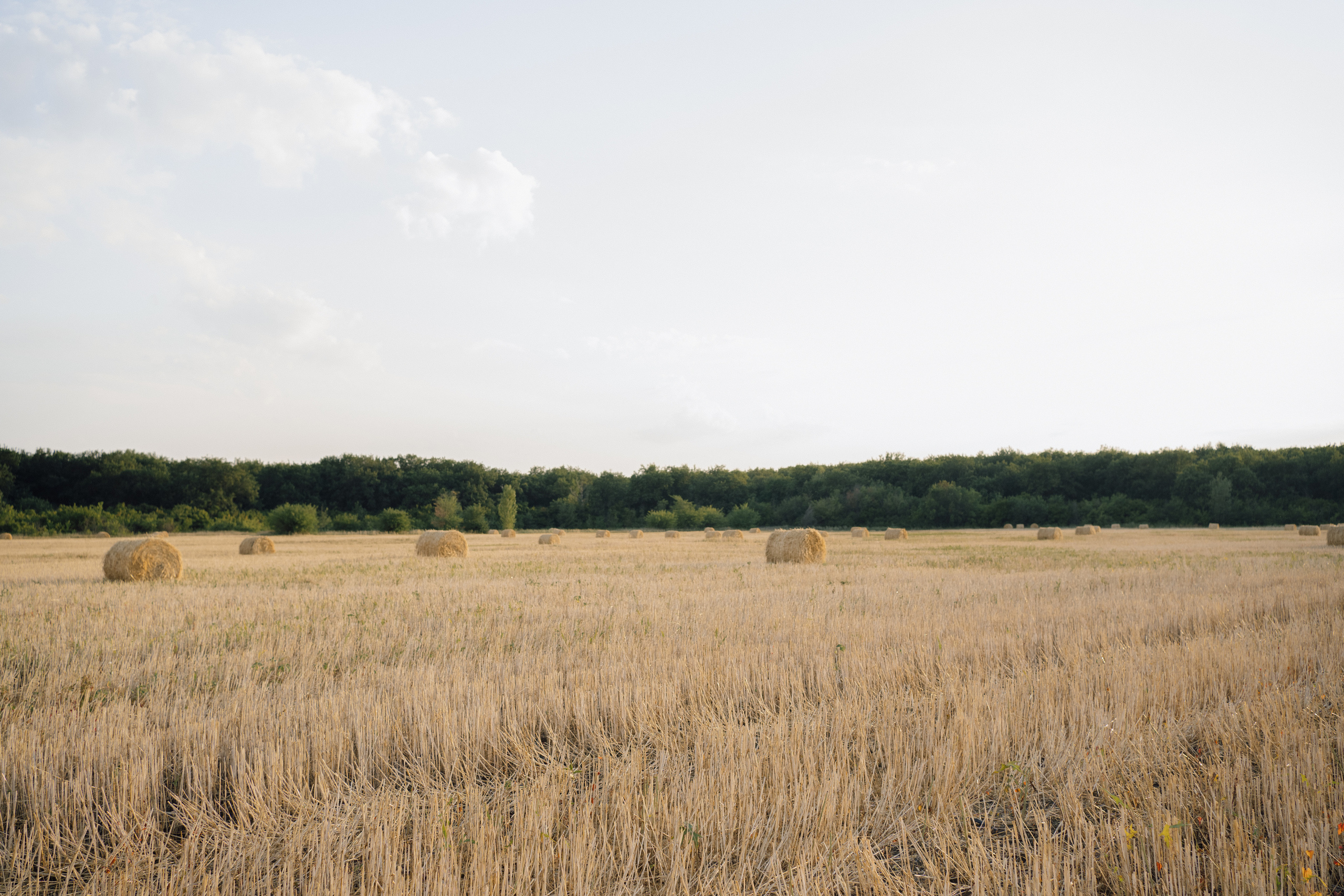 Дмитрий, Мария, Арсений. Свадебный и семейный фотограф в Волгограде Наталья Наумова