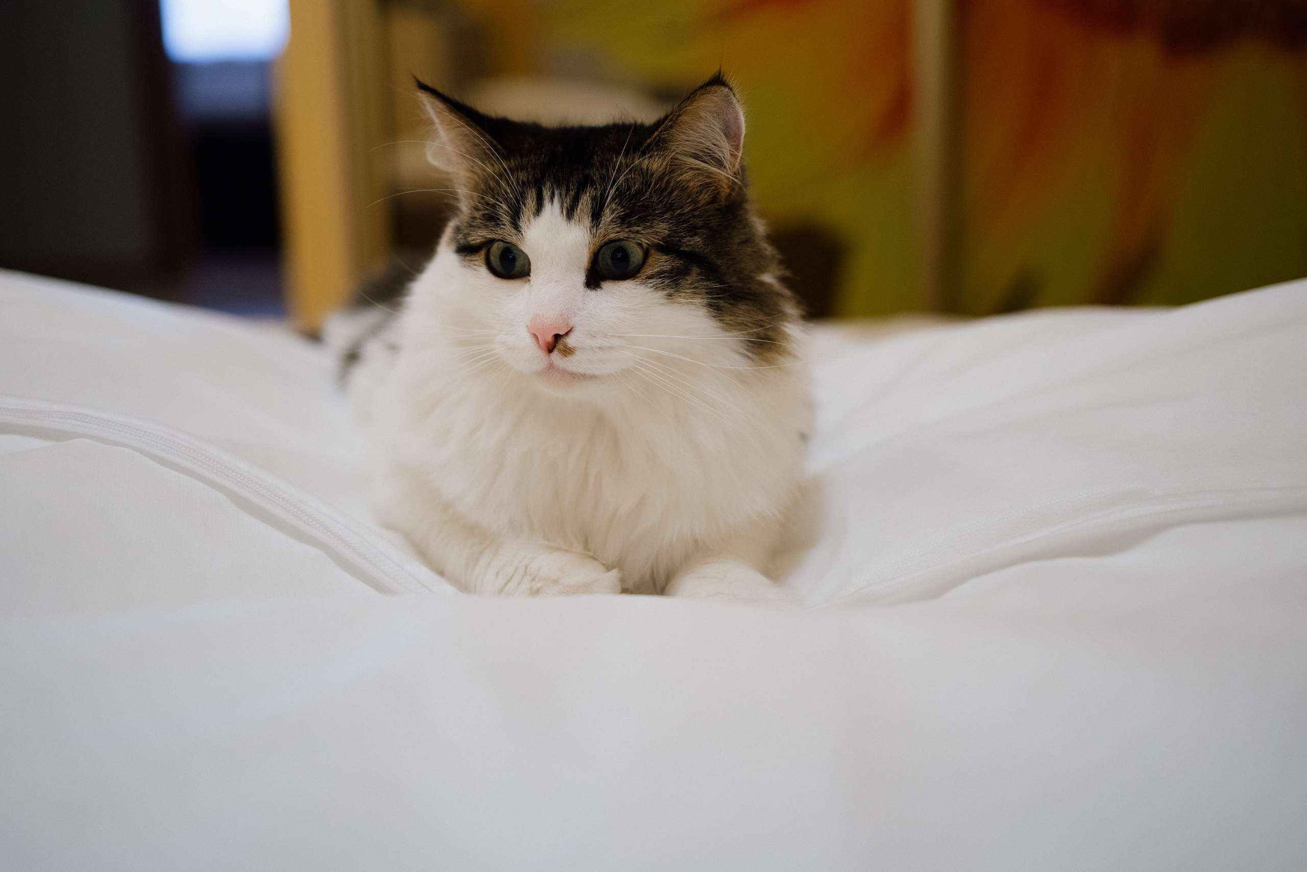 Александр и Диана. Свадебный и семейный фотограф в Волгограде Наталья Наумова