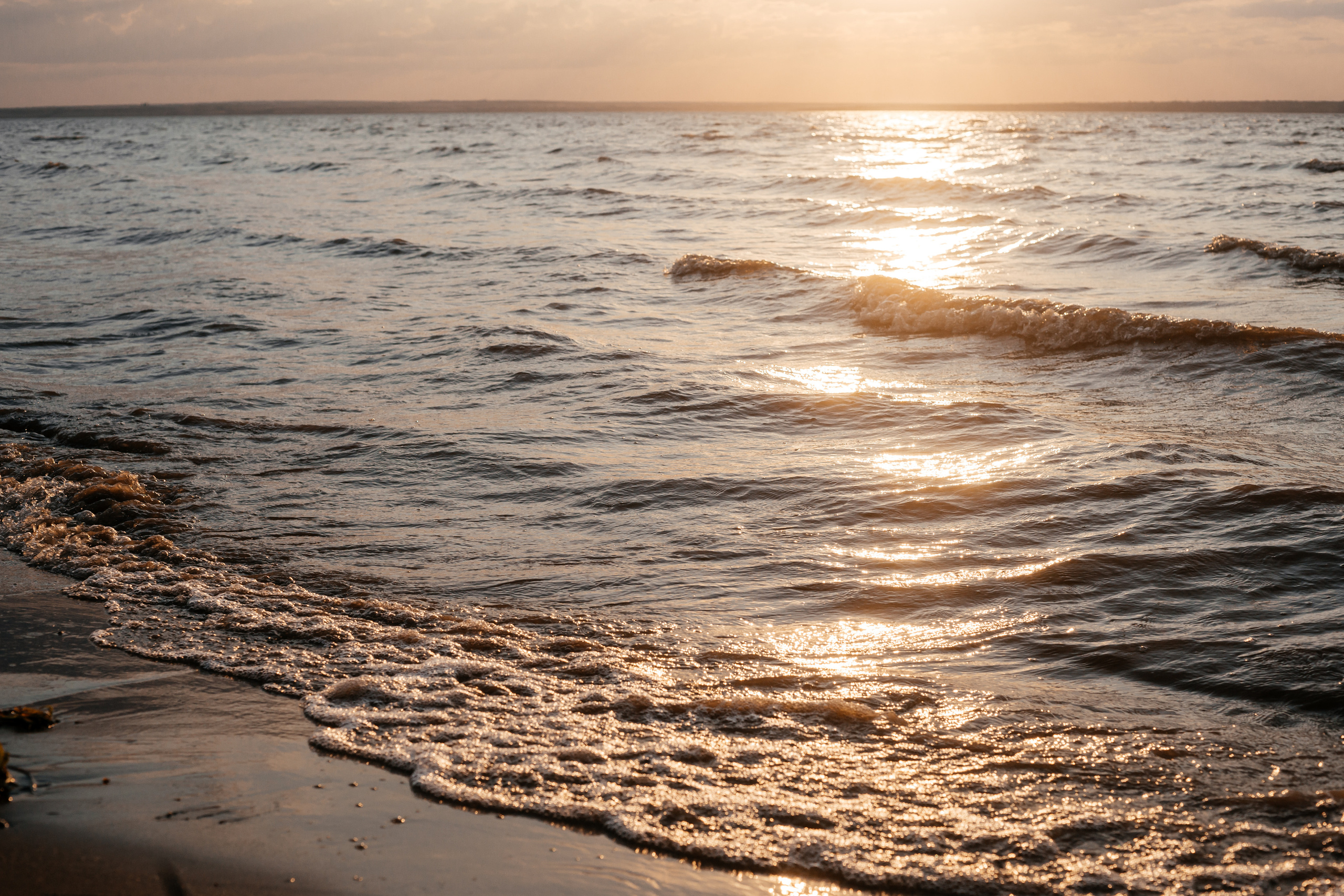 Олеся, Женя, Евангелина. Свадебный и семейный фотограф в Волгограде Наталья Наумова