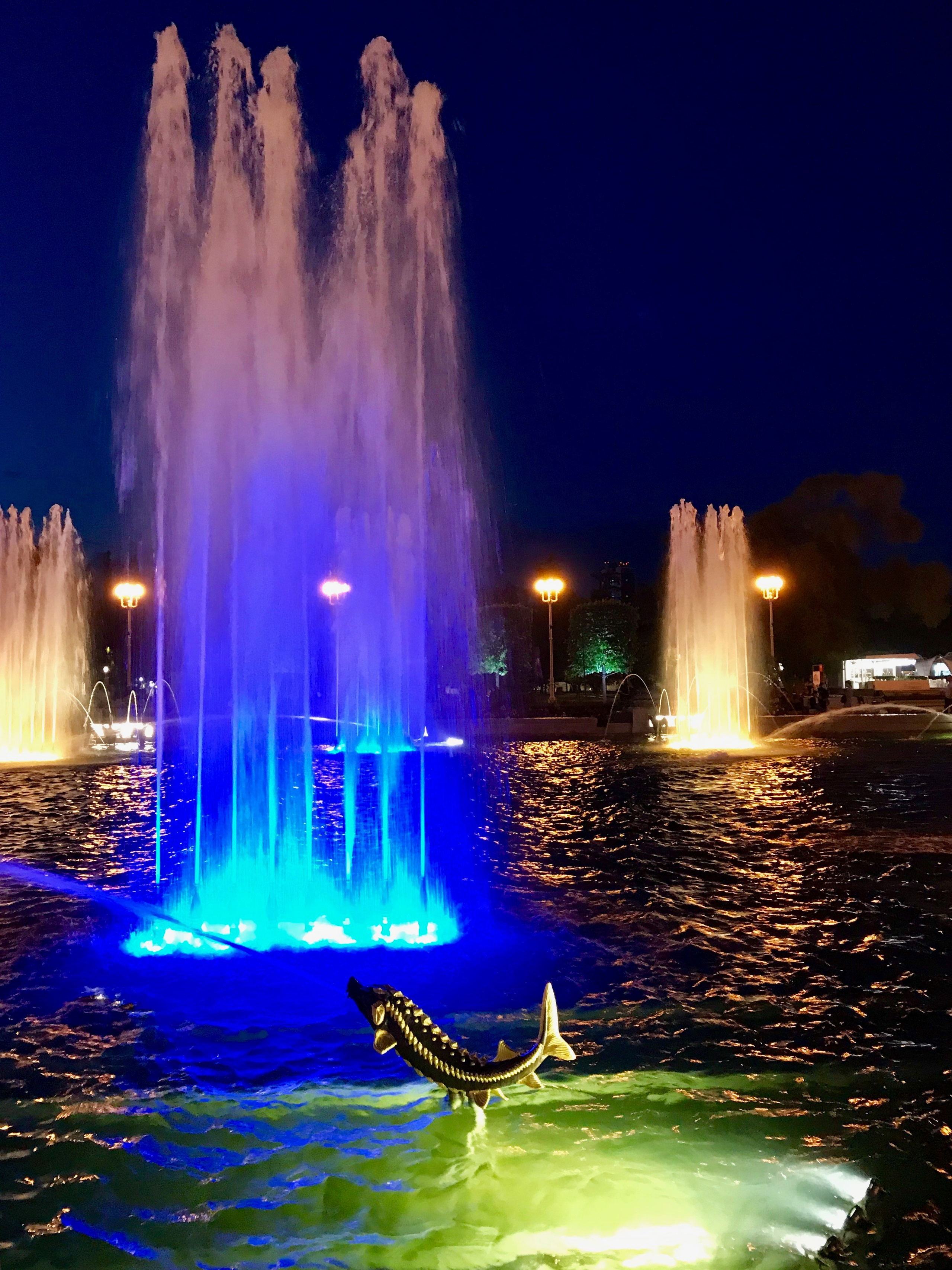 Виды ВДНХ Москва. Авторские фотографии Чугунова Николая