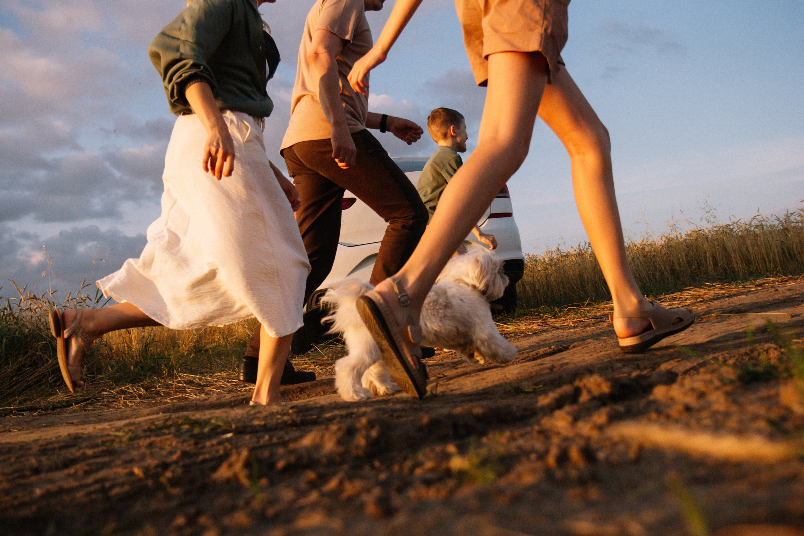 Семейная фотосессия на закате в полях. Семейный фотограф в Томске Максимова Екатерина