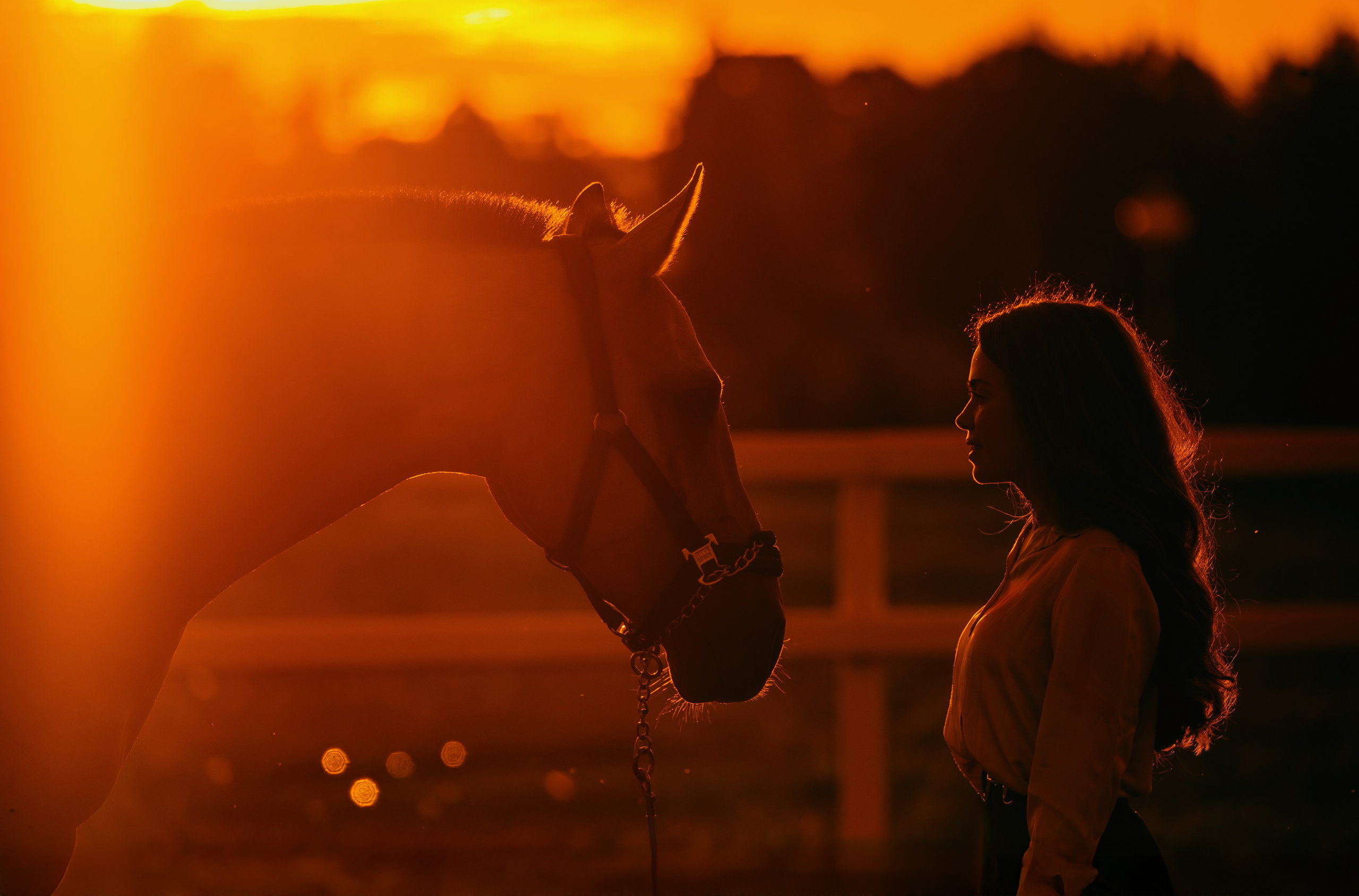 Лена и Персей. Фотограф-анималист Ксендзова Кристина