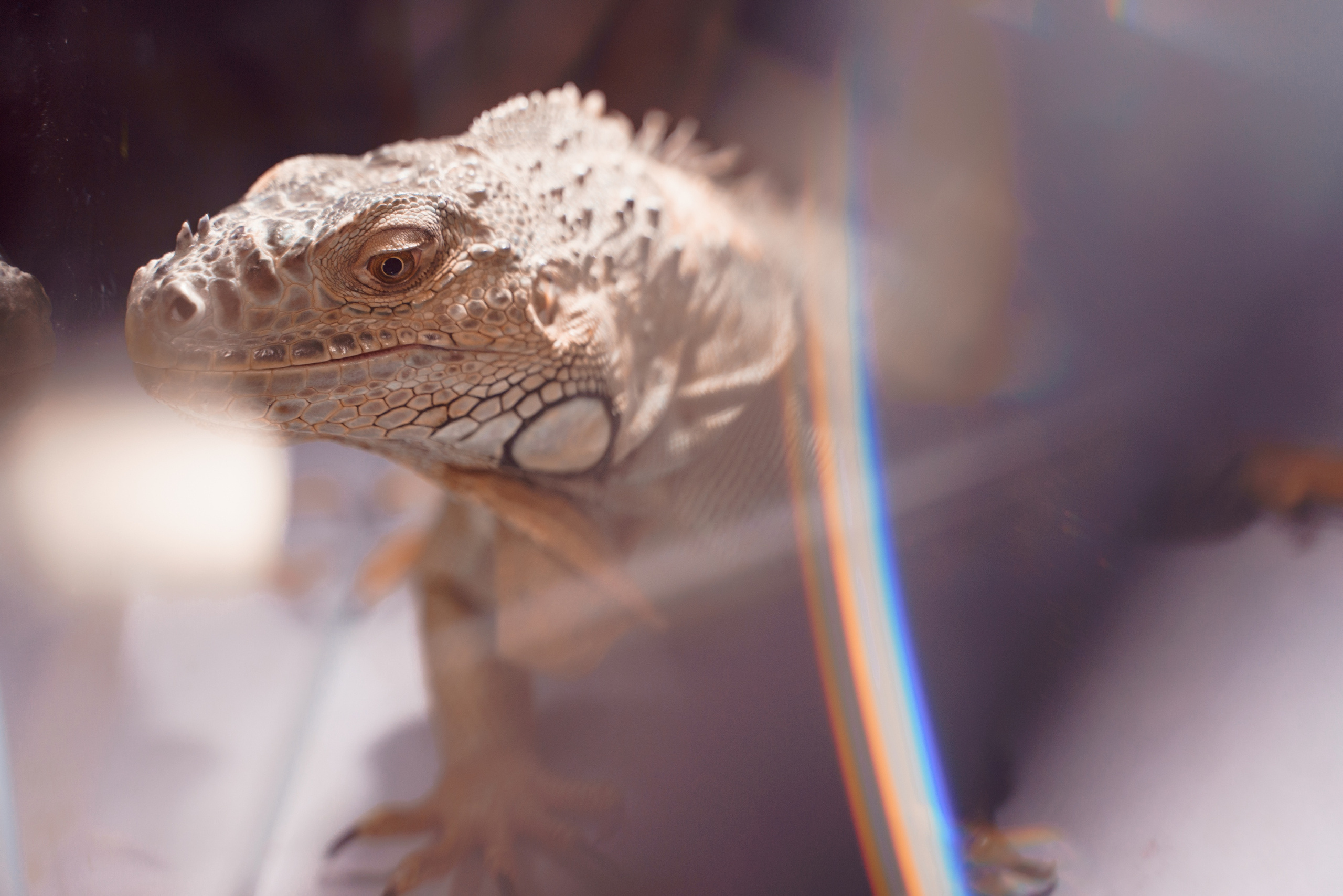 РЕПОРТАЖ. Коммерческий фотограф Нур-Султан (Астана) Айбар Орынхан