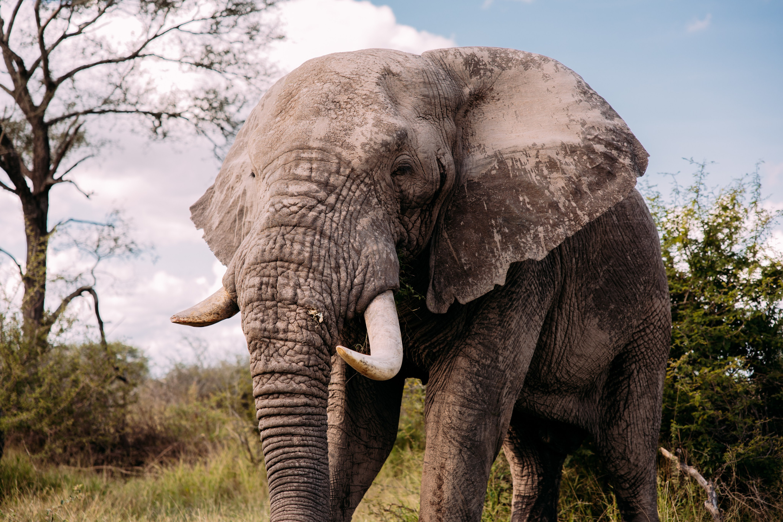 ФОТО ТУРЫ ПО МИРУ. Фотограф Марина Аблаева-Кожедуб