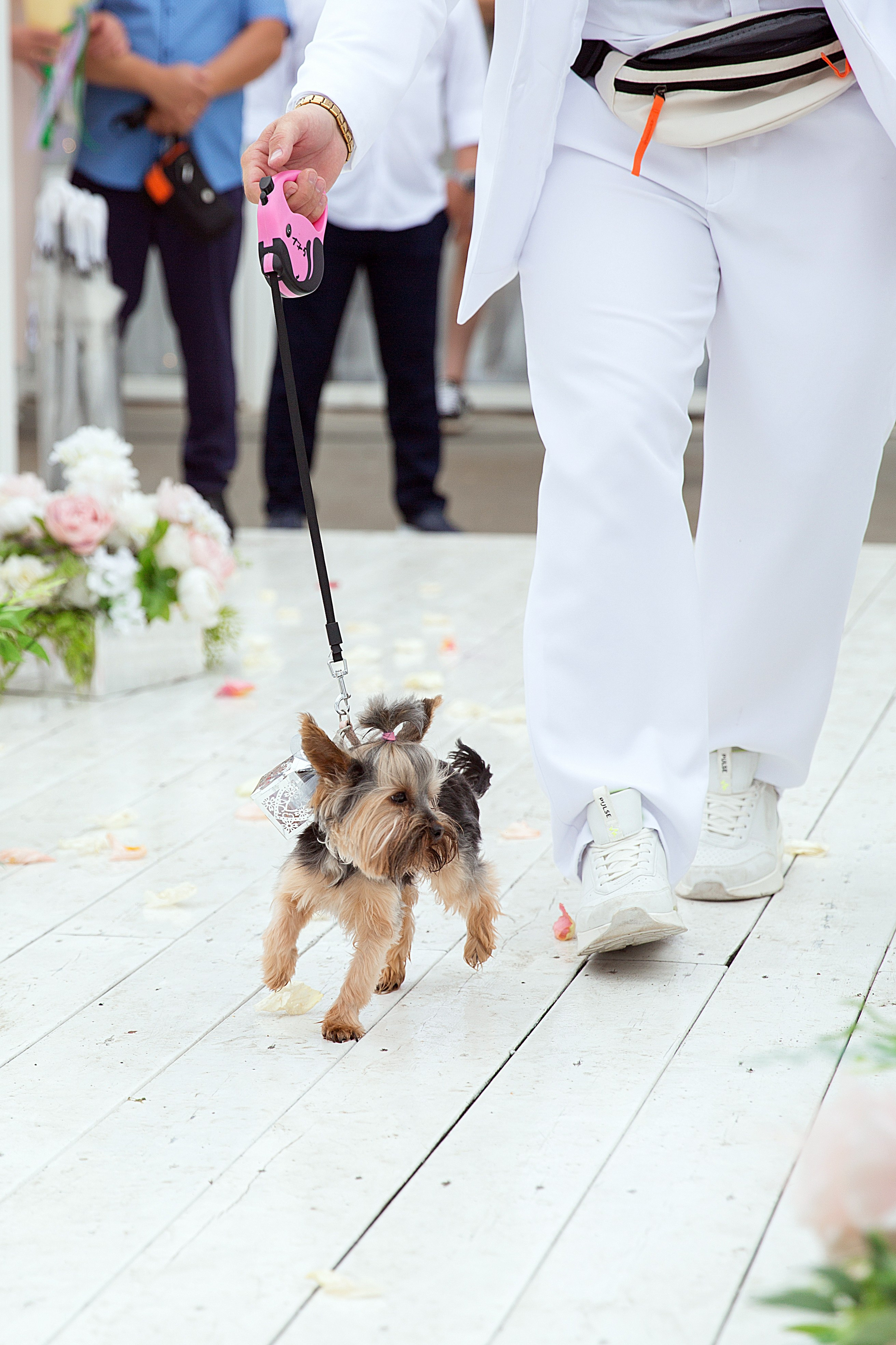 Дмитрий и Катарина. Людмила Далидович топовый семейный фотограф Находка/Владивосток