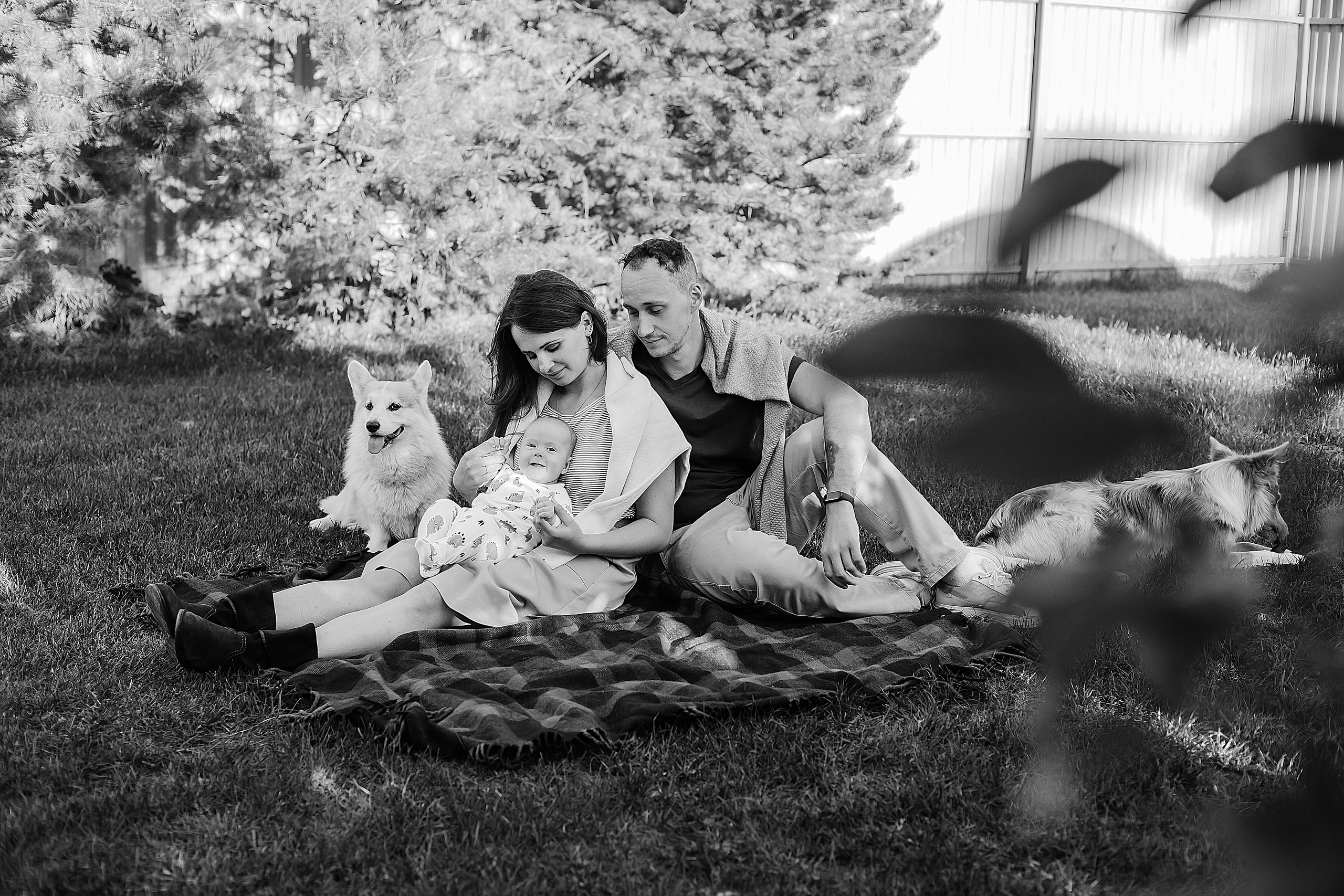 Семейные фотосессии. Семейный фотограф в Омске Самсонова Наталья