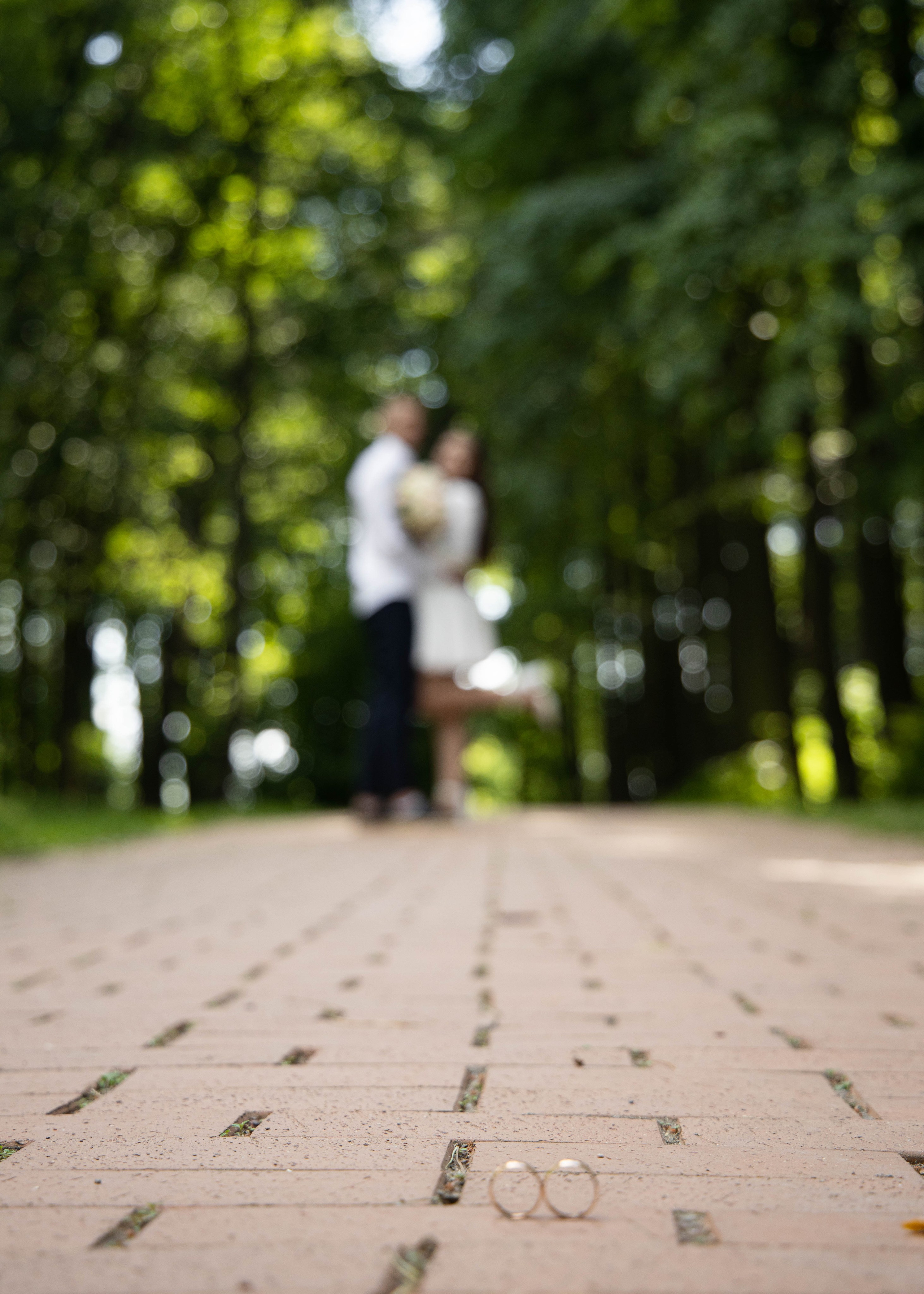 Свадьба ЗАГС+прогулка. Фотосессия новорожденных в Москве и Московской области