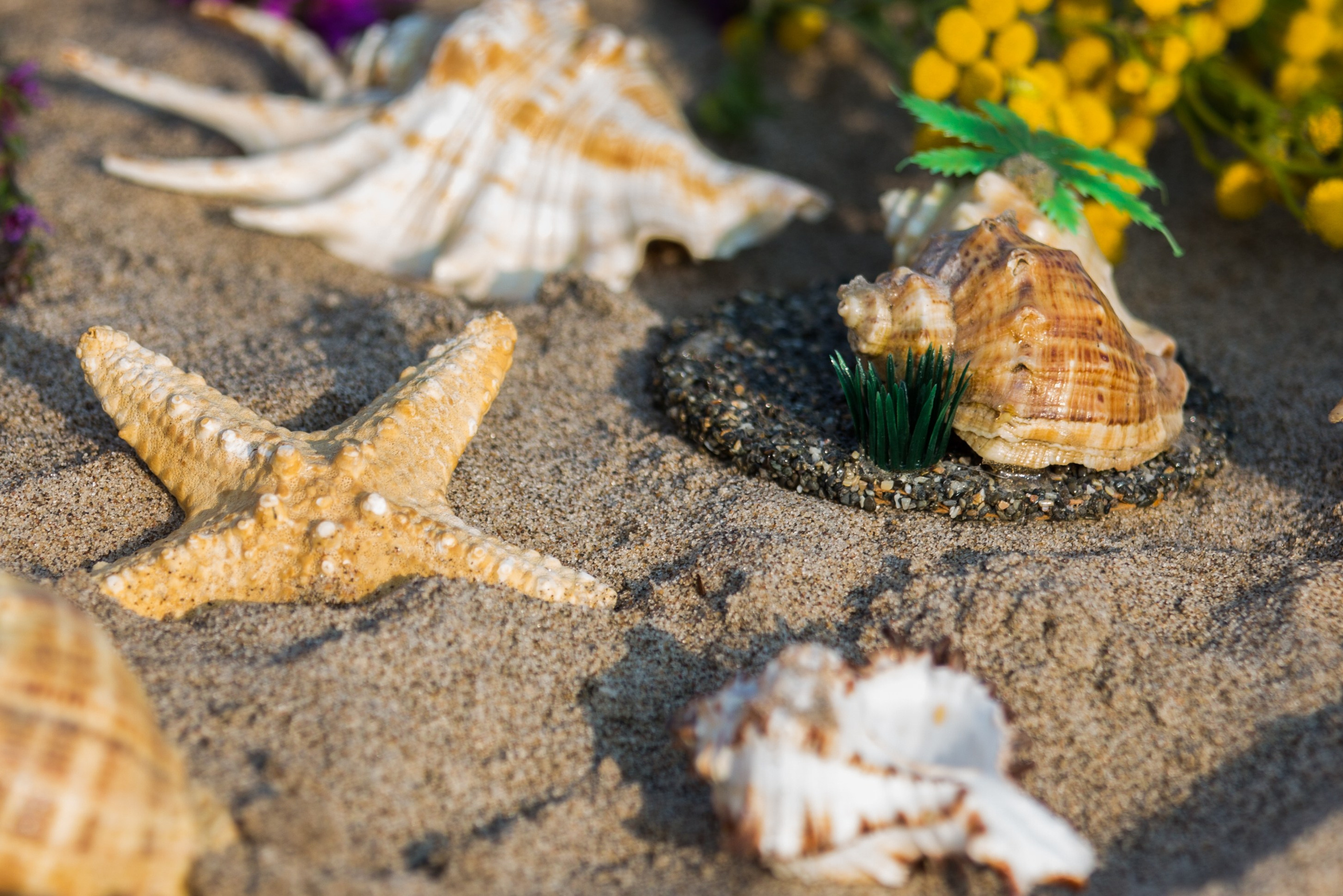 Фотосъемка Love Story на Волге. Свадебный фотограф, видеограф в Самаре, Самарской области. Видеосъемка