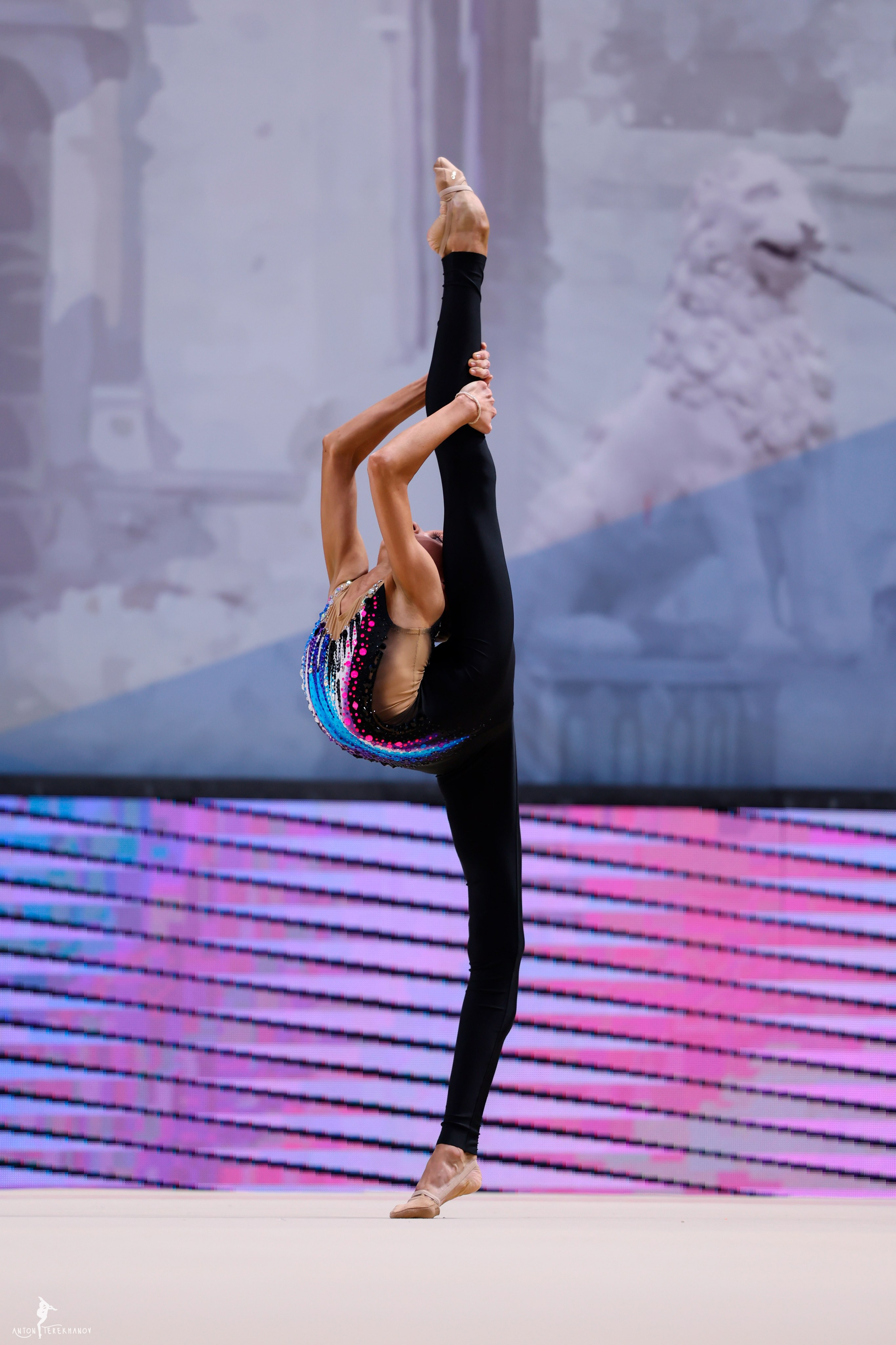 Первенство Санкт-Петербурга 2025. Спортивный и репортажный фотограф Антон Тереханов