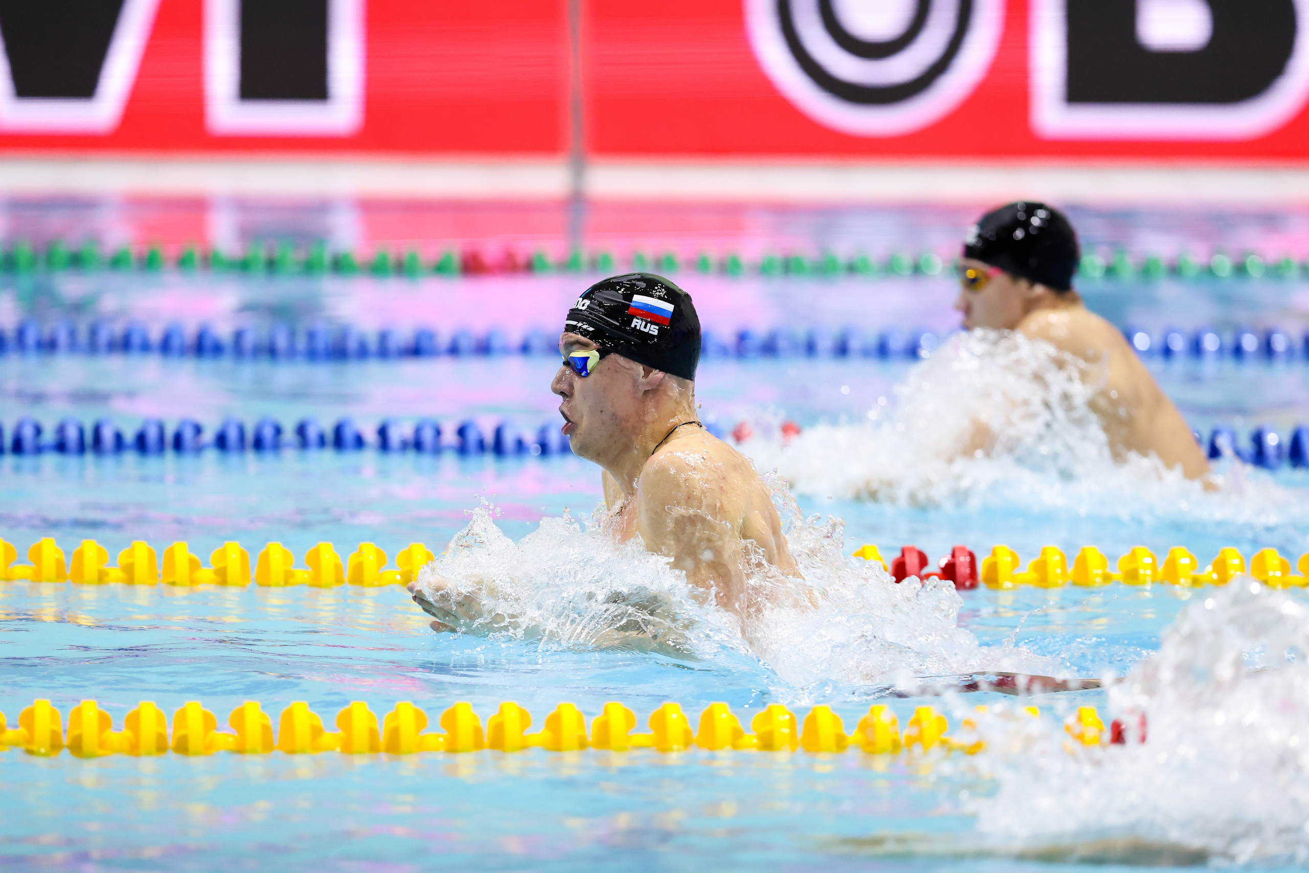 Чемпионат России по плаванию 25 м 21-26.11.2024. Спортивный и репортажный фотограф Антон Тереханов