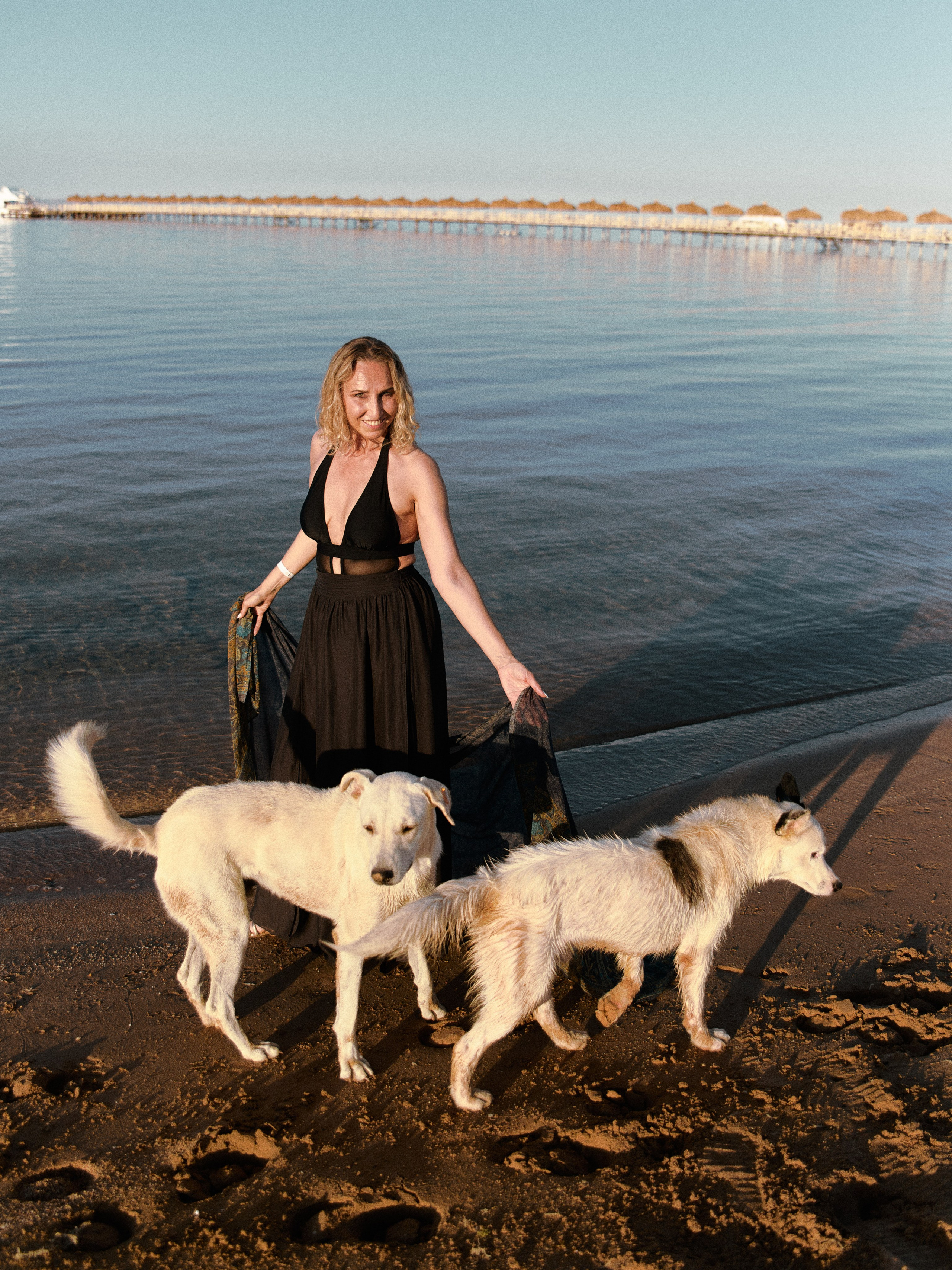 Лошадиная ферма. Jorgis — фотограф в Хургаде / обучение фотографии