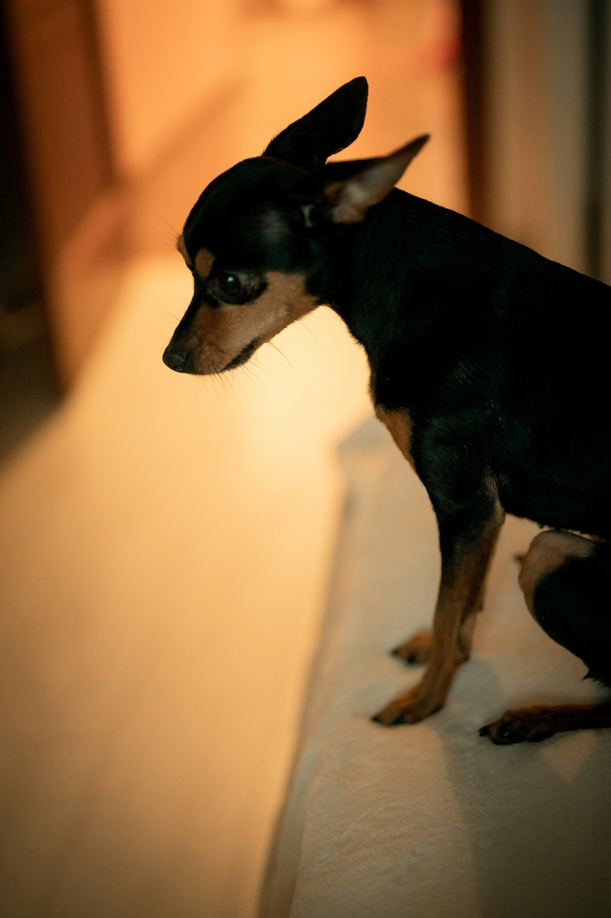 Родители с новорожденным малышом. Фотограф новорождённых, семейный, школьный в городе Калуге Евгения