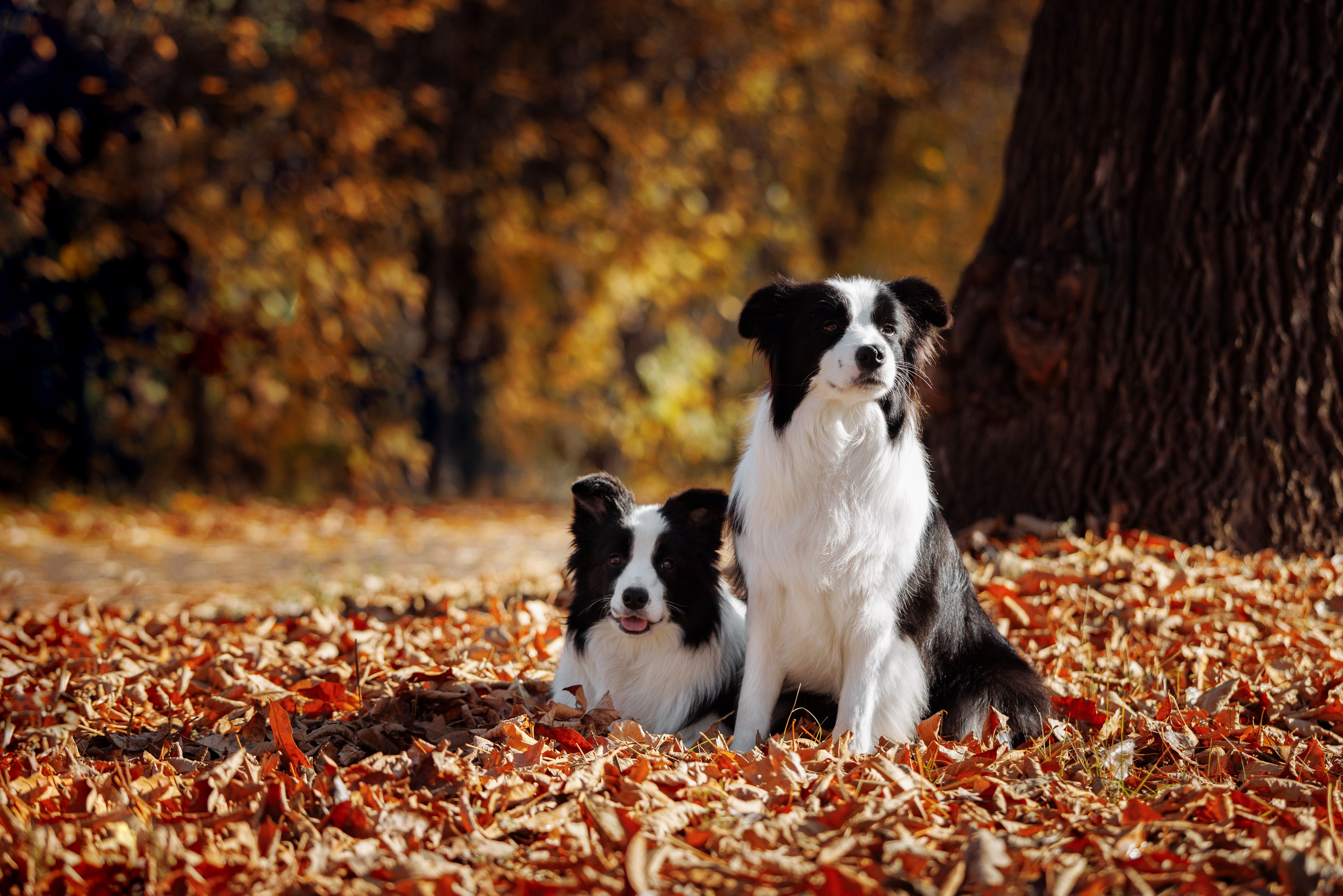 Выставка октября в Оренбурге. О нас