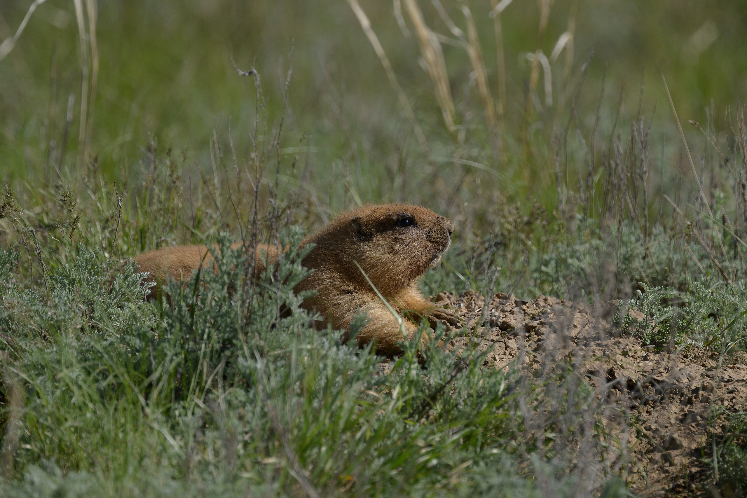Оренбуржье. Портретный фотограф в Челябинске Катерина Руди