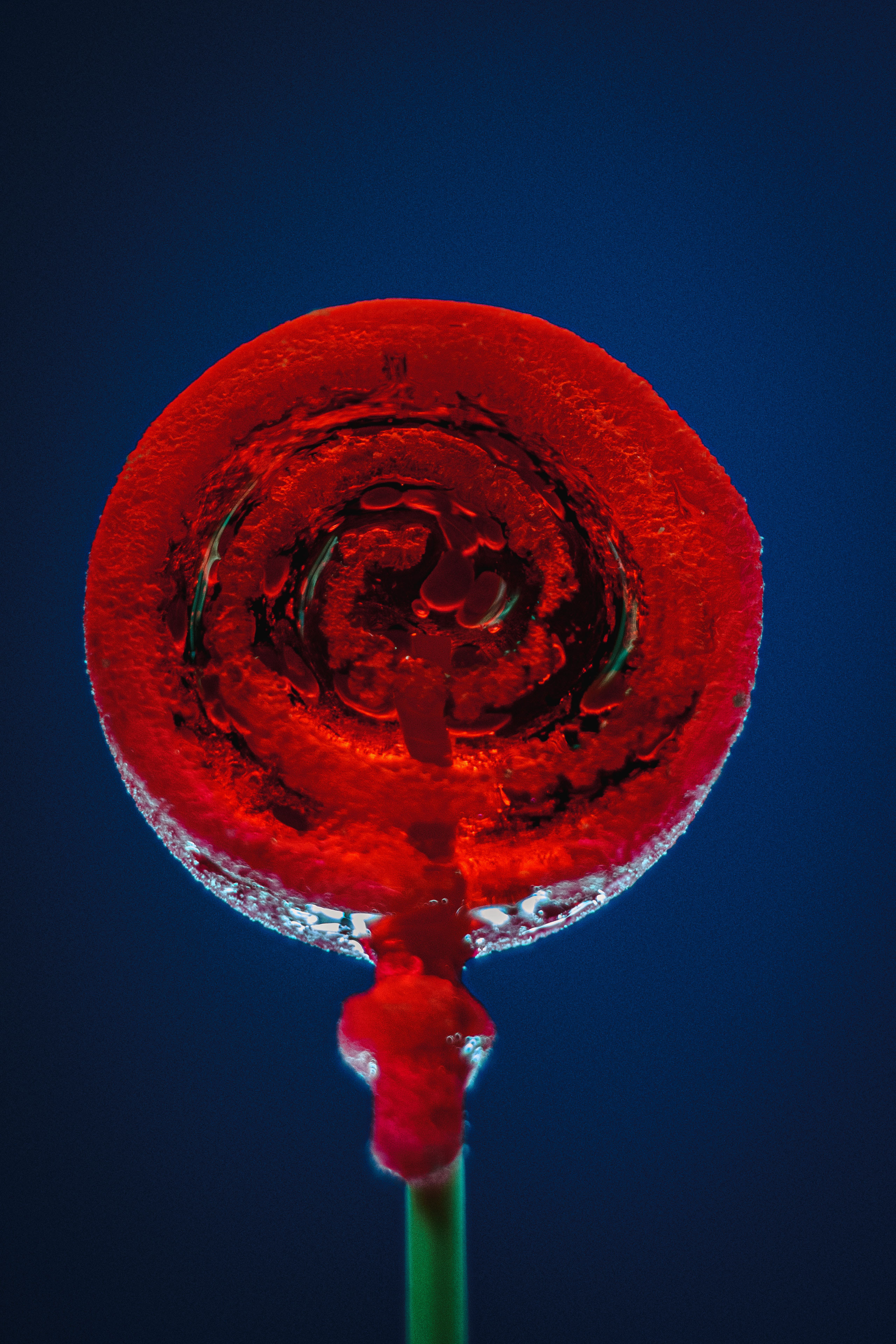 Maze. Photographer Zoya Smirnova