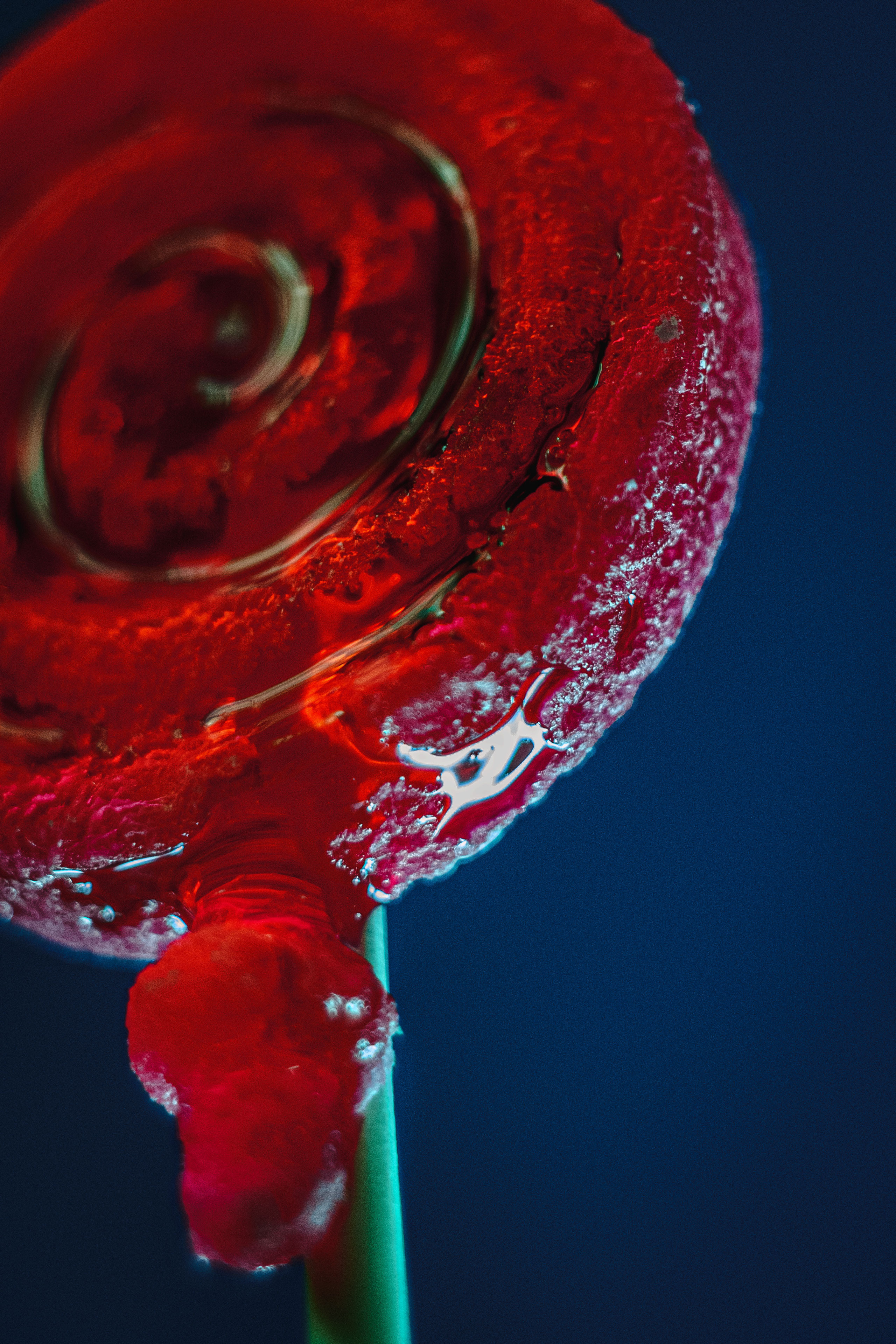 Maze. Photographer Zoya Smirnova