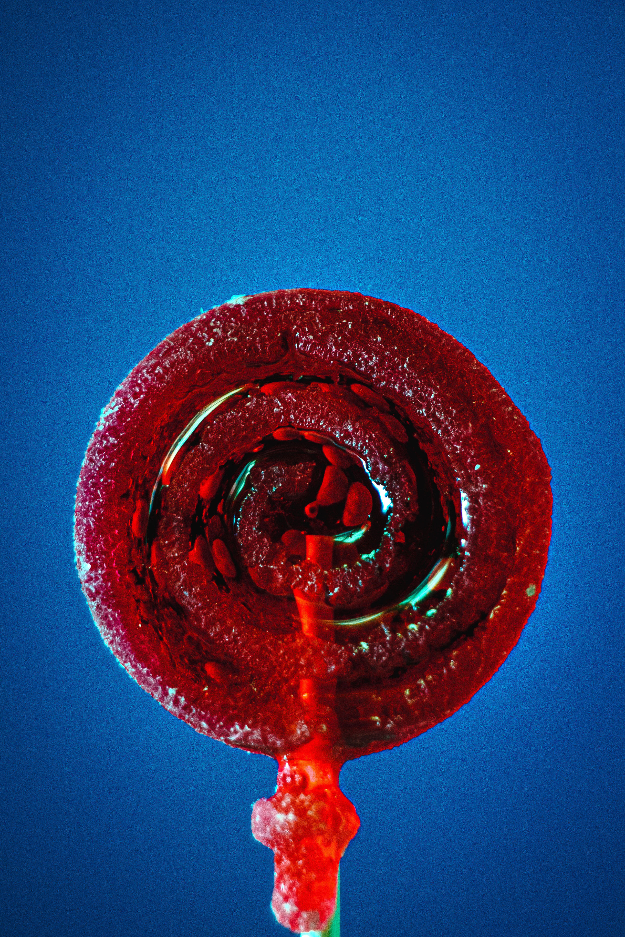 Maze. Photographer Zoya Smirnova