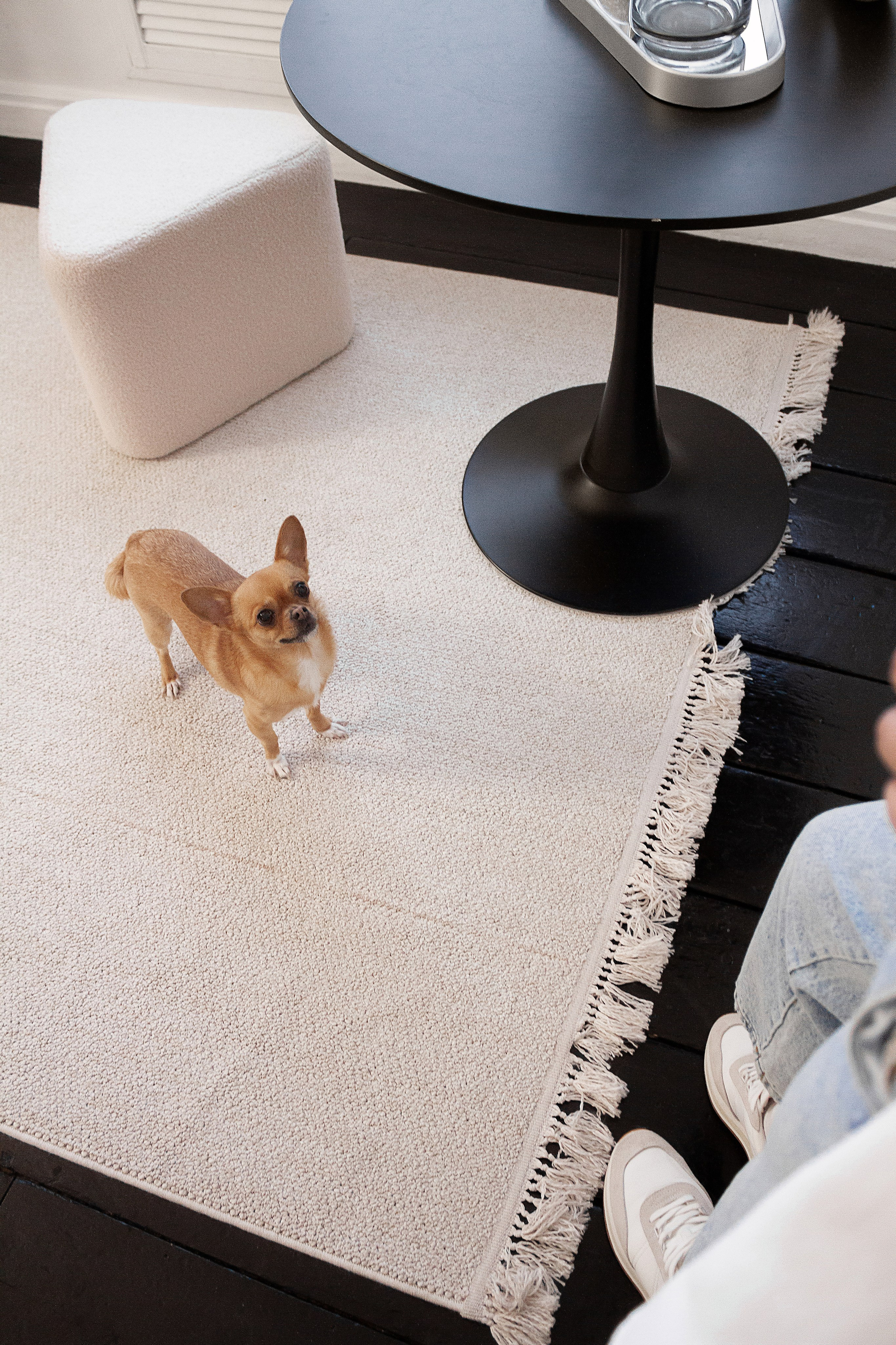 К & С & Мотя. Фотограф Екатеринбург Елена Минина