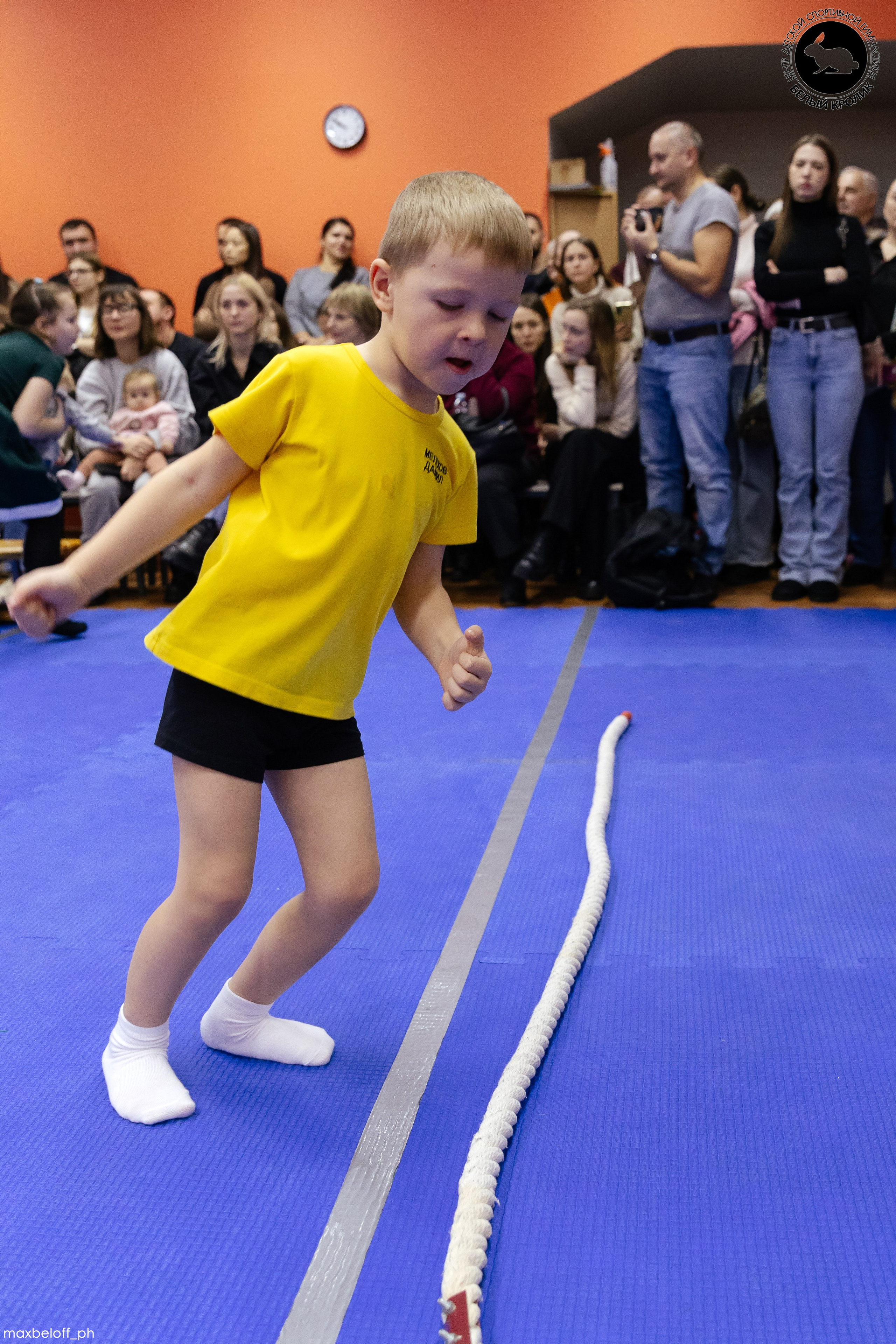 Белый кролик. Соревнования. Семейный фотограф — Макс Белогрудов