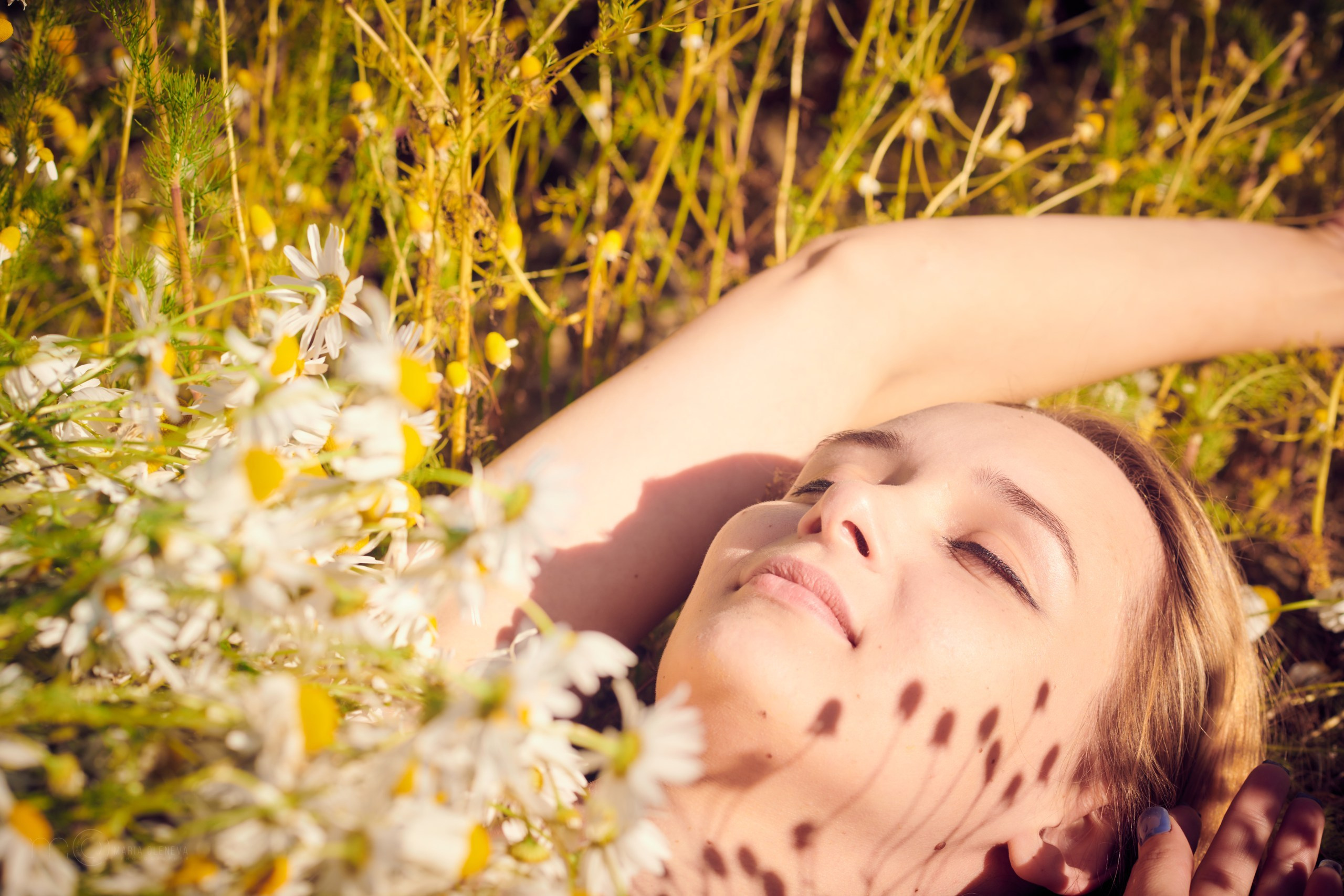 В ромашках. Фотограф Мария Оленева