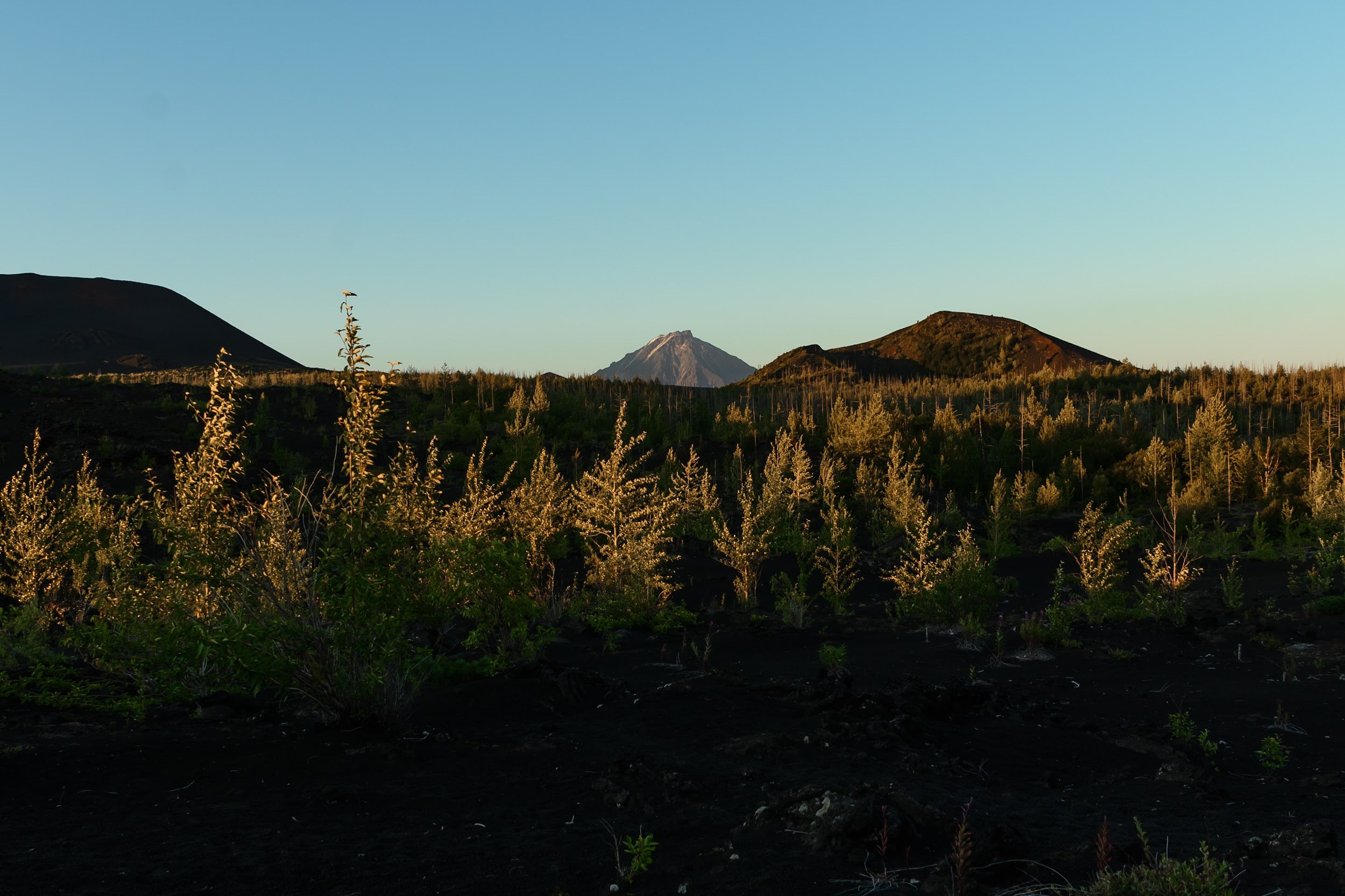 Камчатка 08.2024. Фотограф Марина Росси