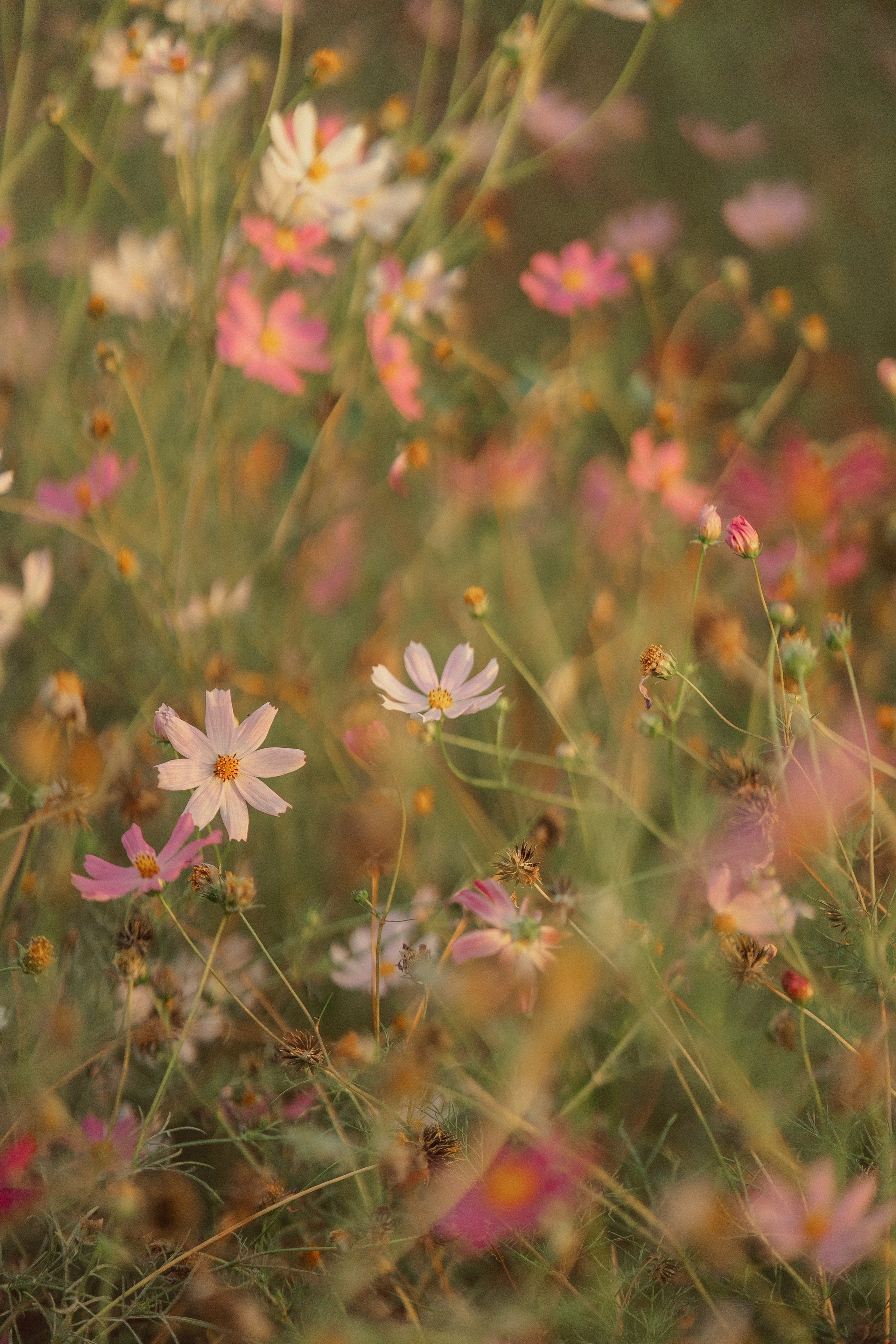 Ботанический сад. Фотограф Мария Зайчик