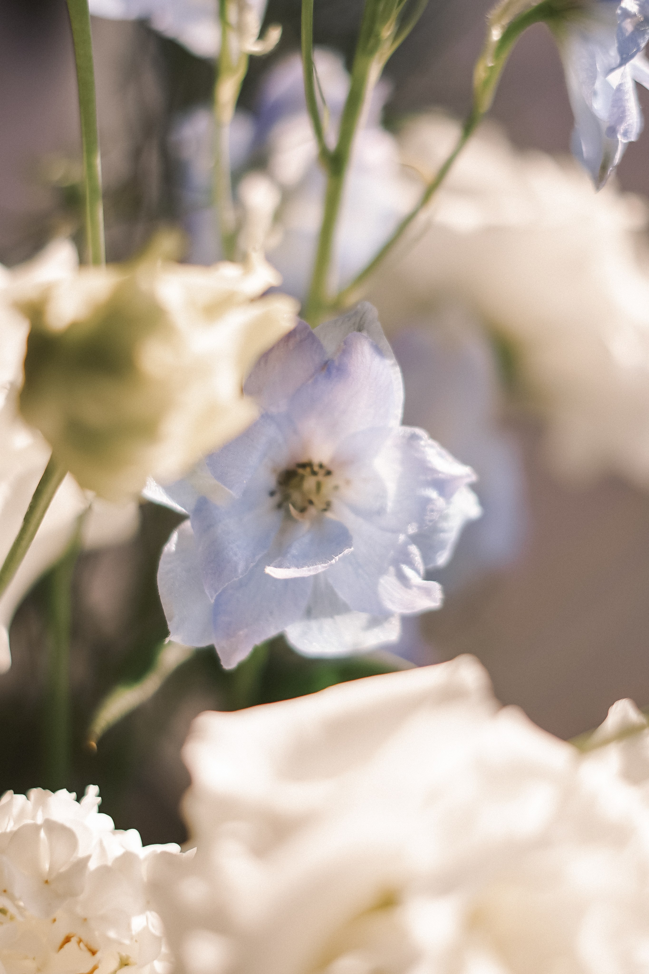 Дим и Лера. Фотограф Валерия Крахмалева