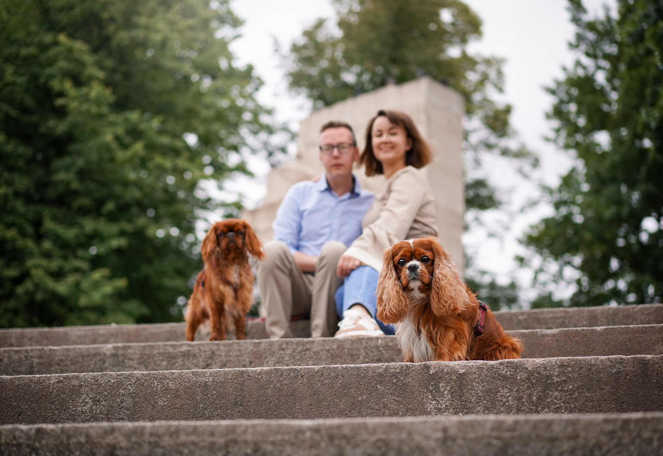 Юля Володя Гарри и Верон. Фотограф-анималист в Санкт-Петербурге Яна Мартынова