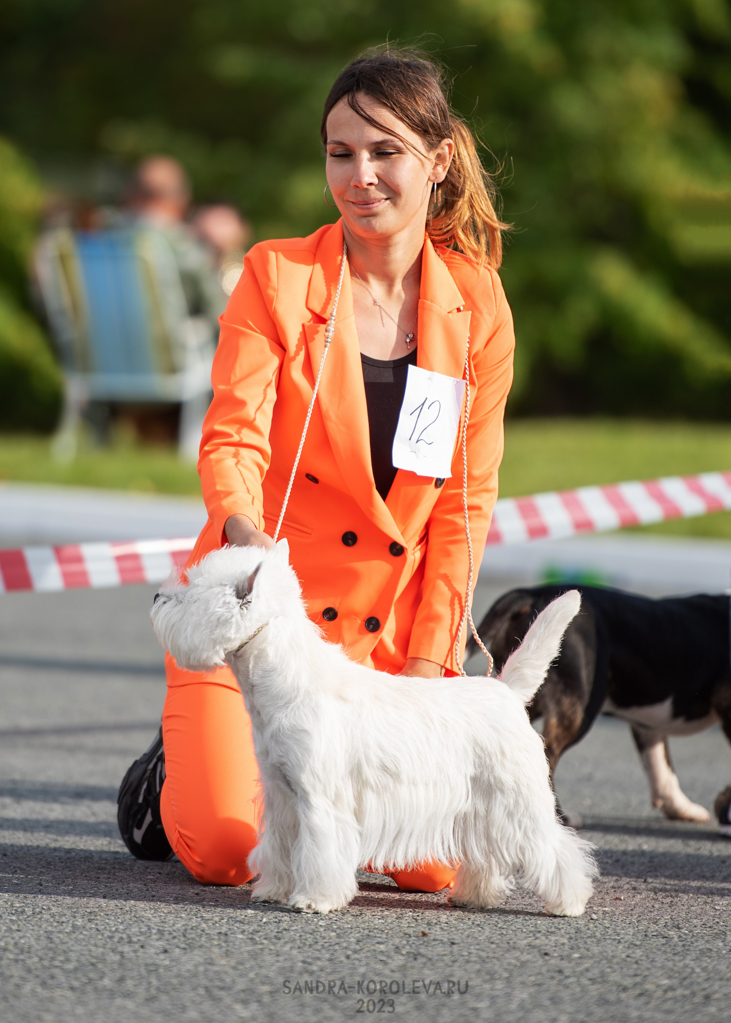 Выставка собак Тюмень 02.09.2023. Дог-фотограф в Тюмени Александра Королева