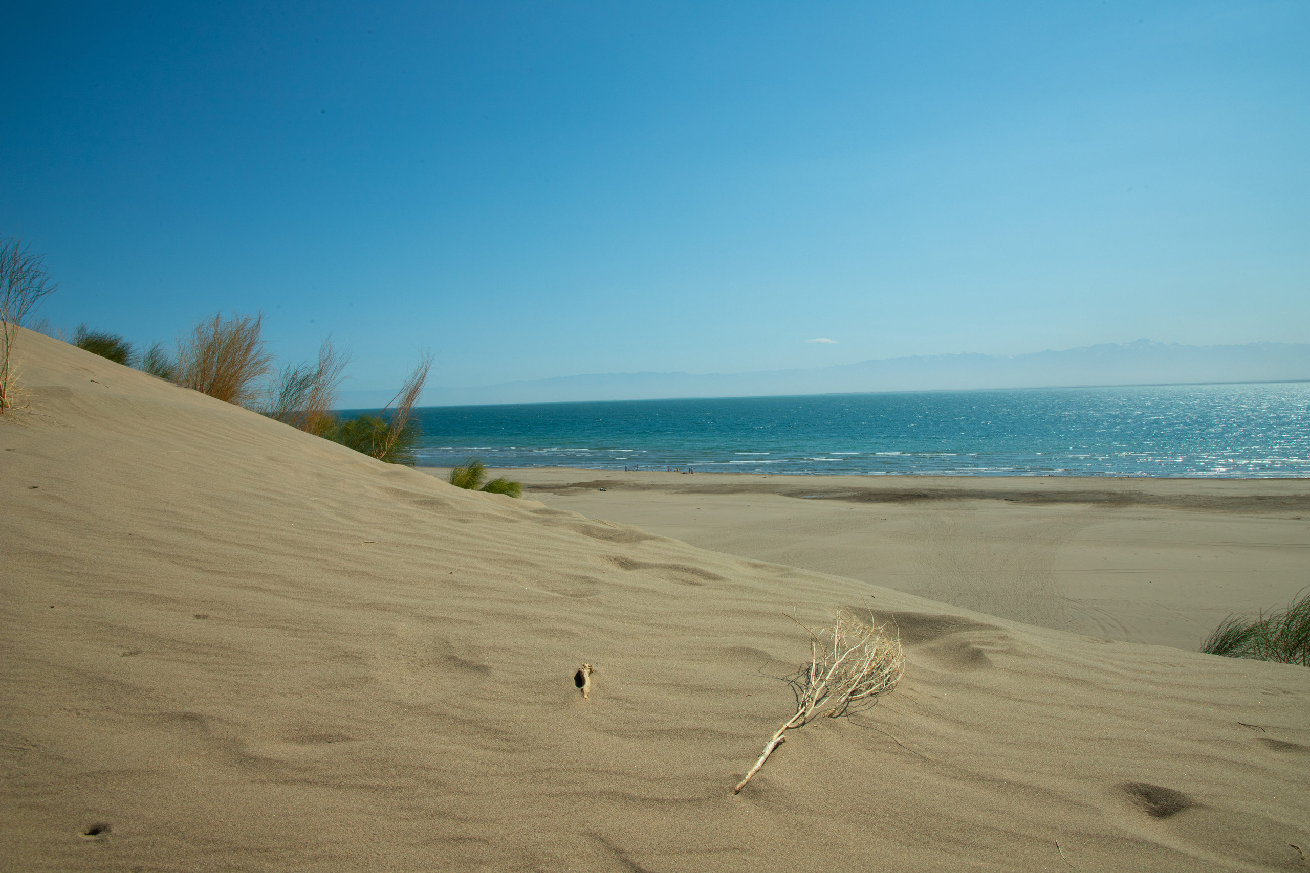 Изумрудное платье. Свадебный фотограф — Азамат Нусипбеков