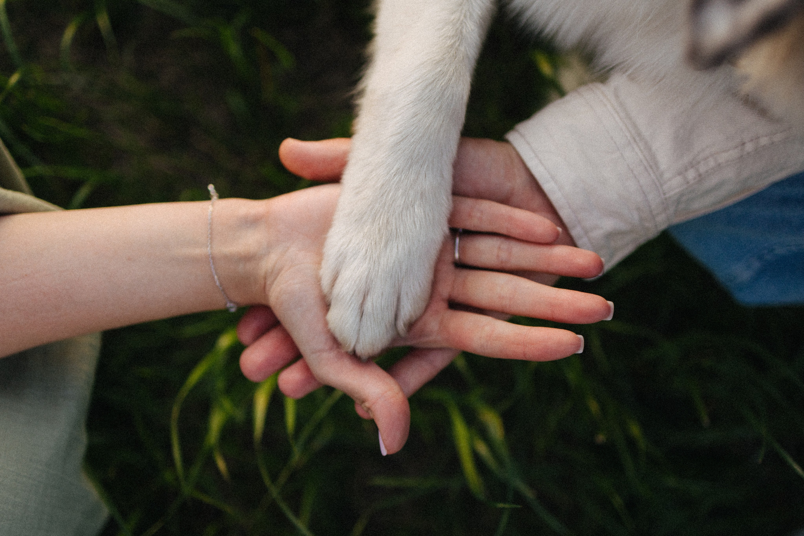 Настя, Влад и Лэйк. Фотораф — анималист Мария Шистка