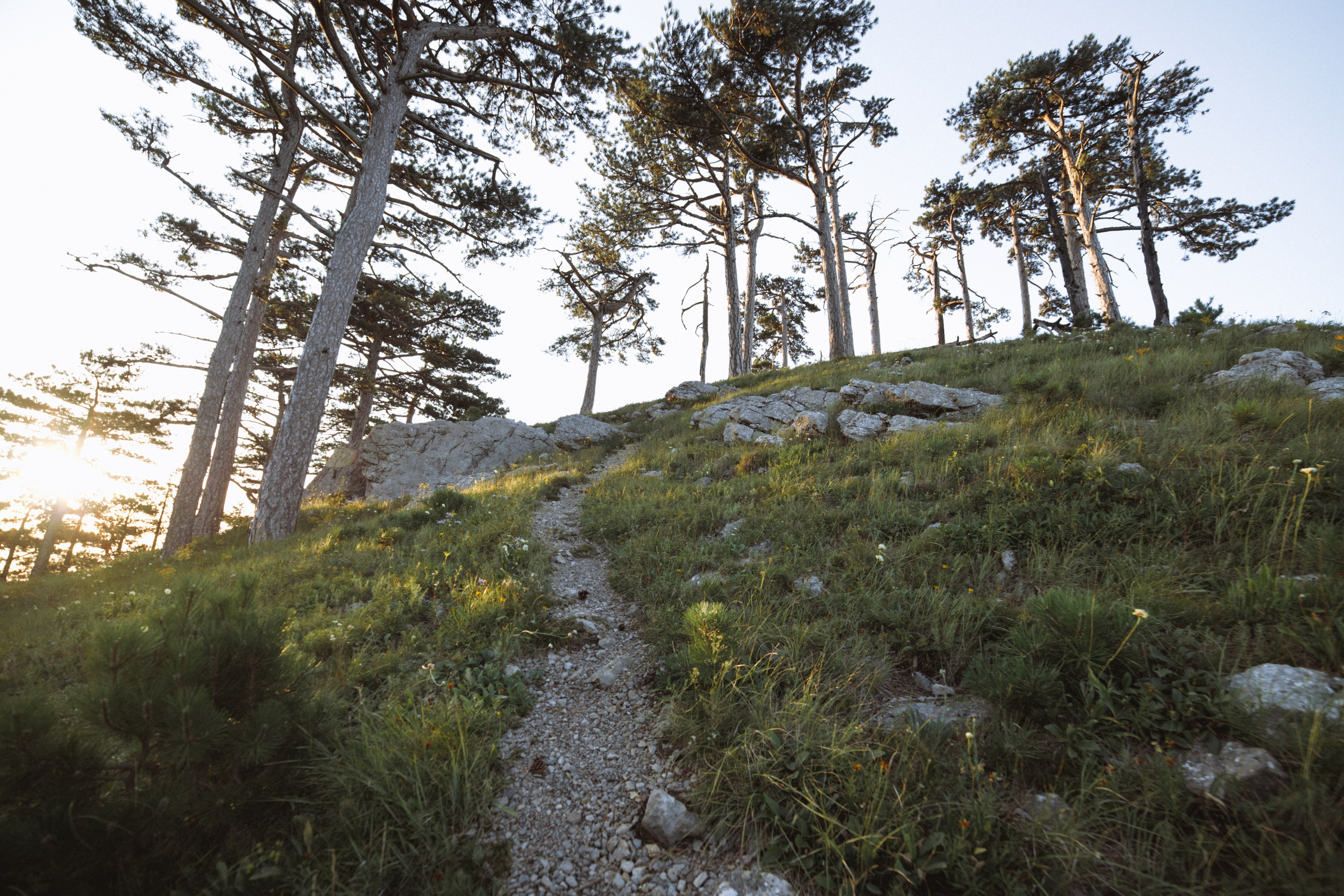 Nature. Артем Корнев Фотограф