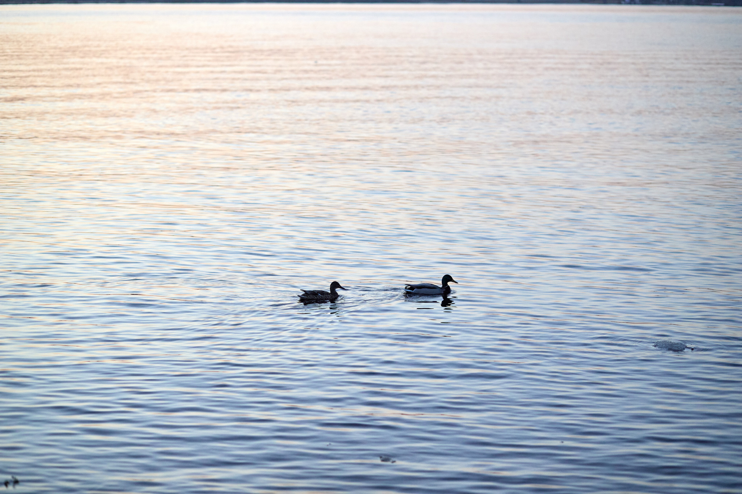 Фотосессия Ирины. Портретный и свадебный фотограф в Самаре Снытко Дарья