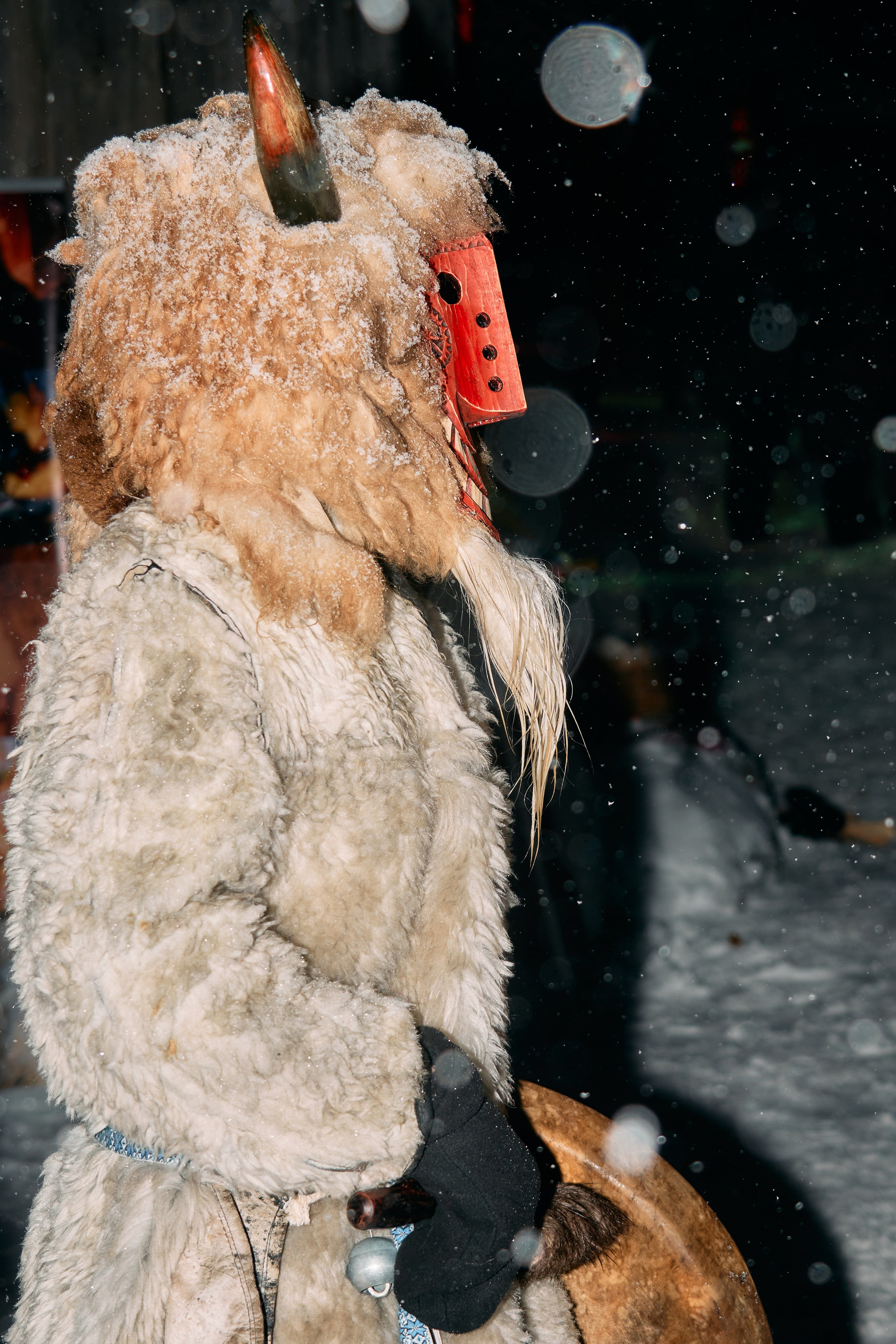 С медведем по соседям. Фотограф