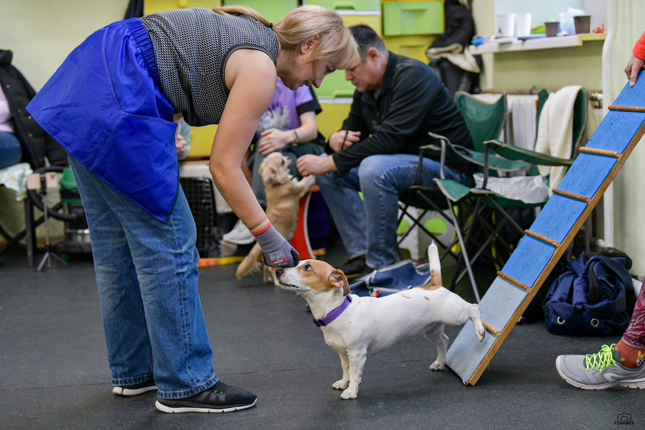 Кинологический клуб «Бодрый хвост». Свой взгляд через объектив
