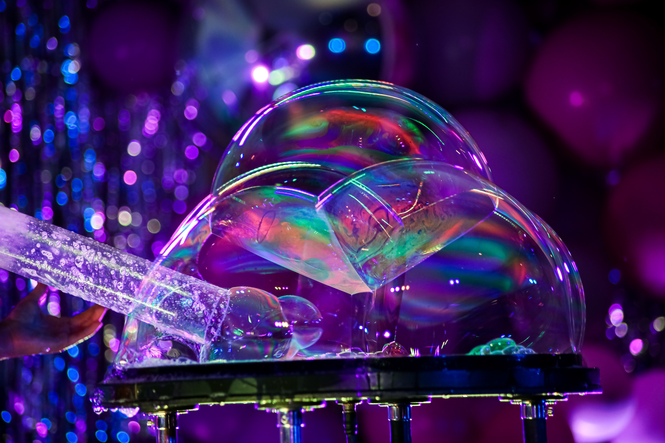 Международный обучающий форум для EVENT-специалистов «СМТ». Photographer Viktoriya Markushina «My world throug»