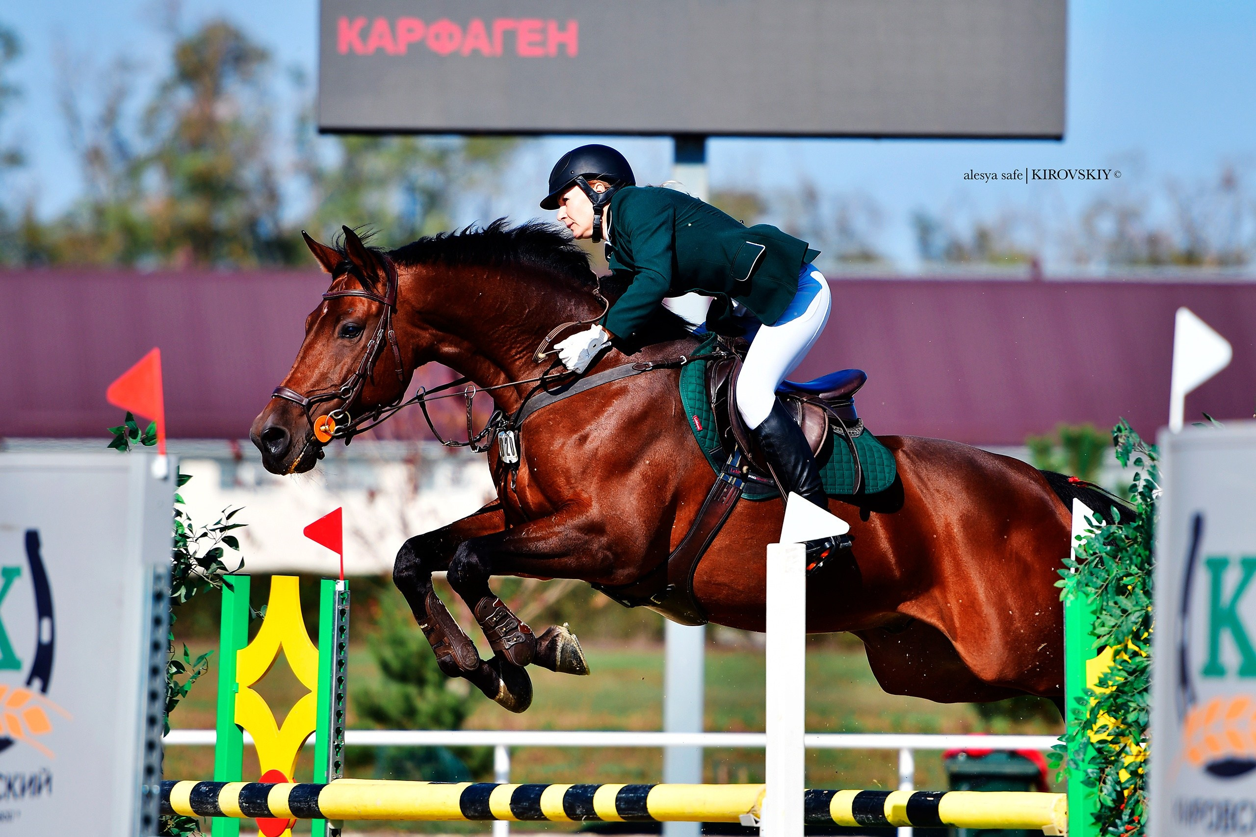 Кировский конный завод. Конный фотограф Alesya Safe